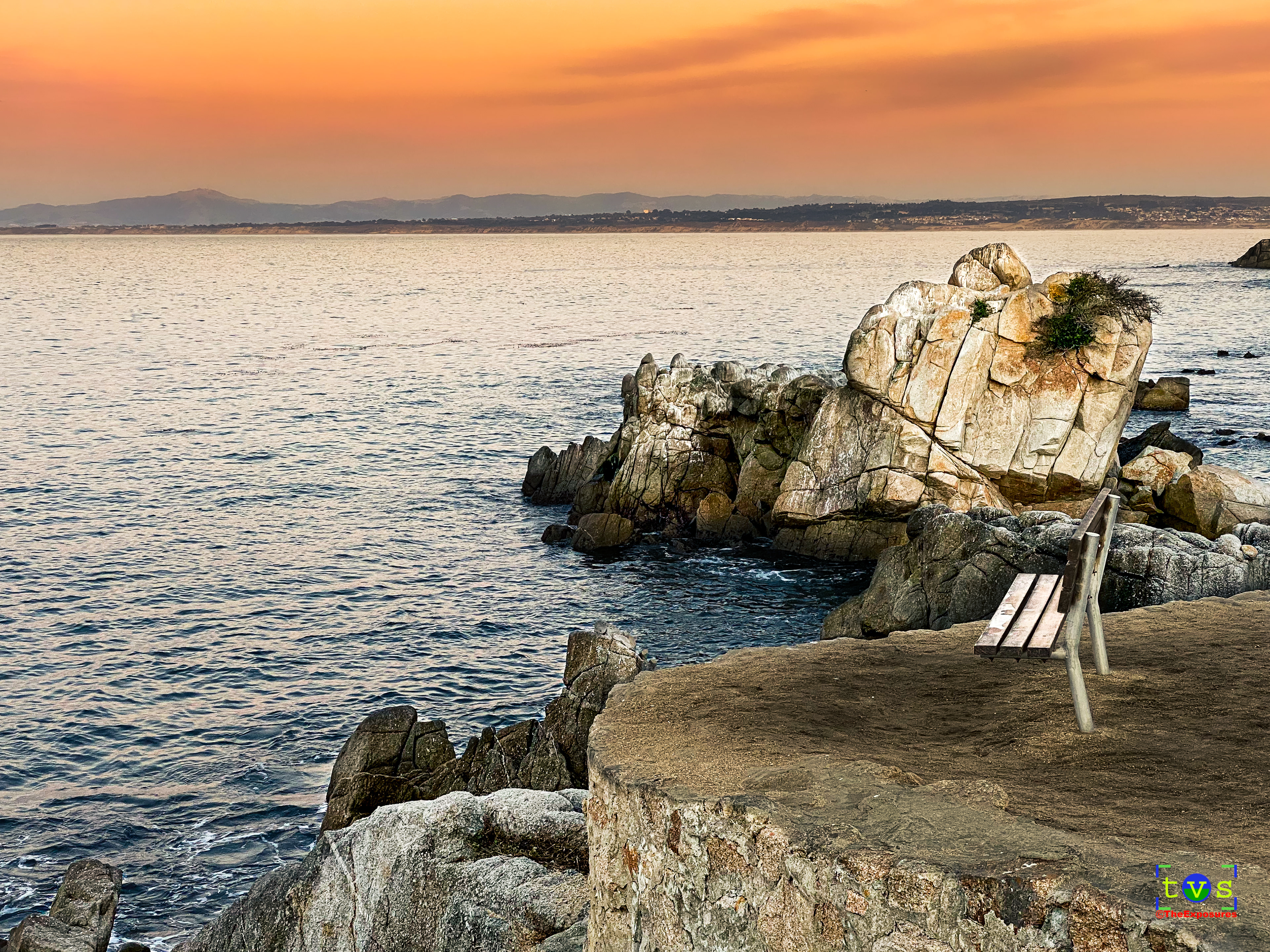 For your viewing pleasure