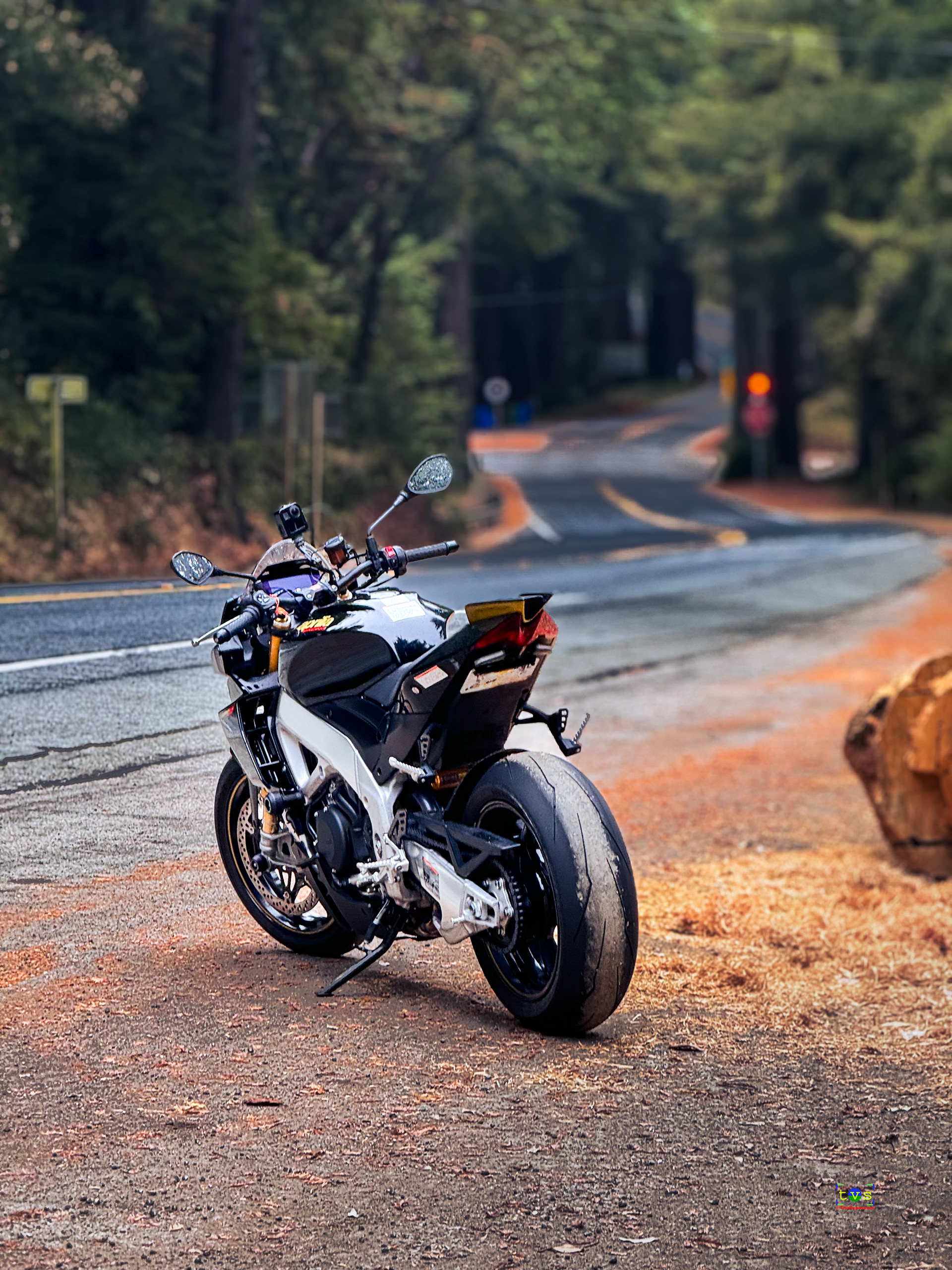 Ride n Shoot - Stopping b y Woods