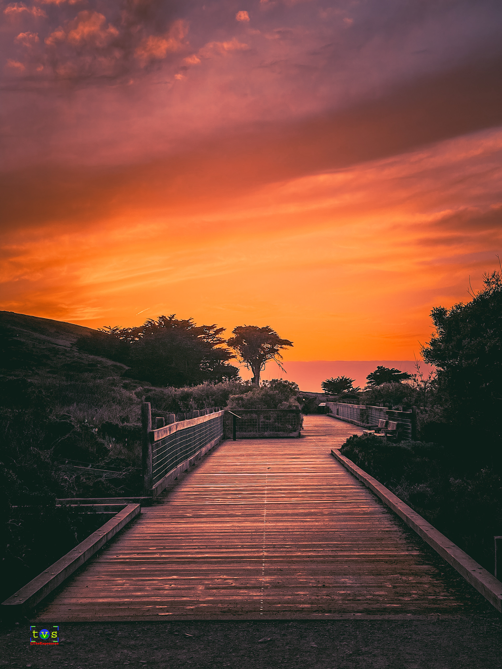Sunset Walk