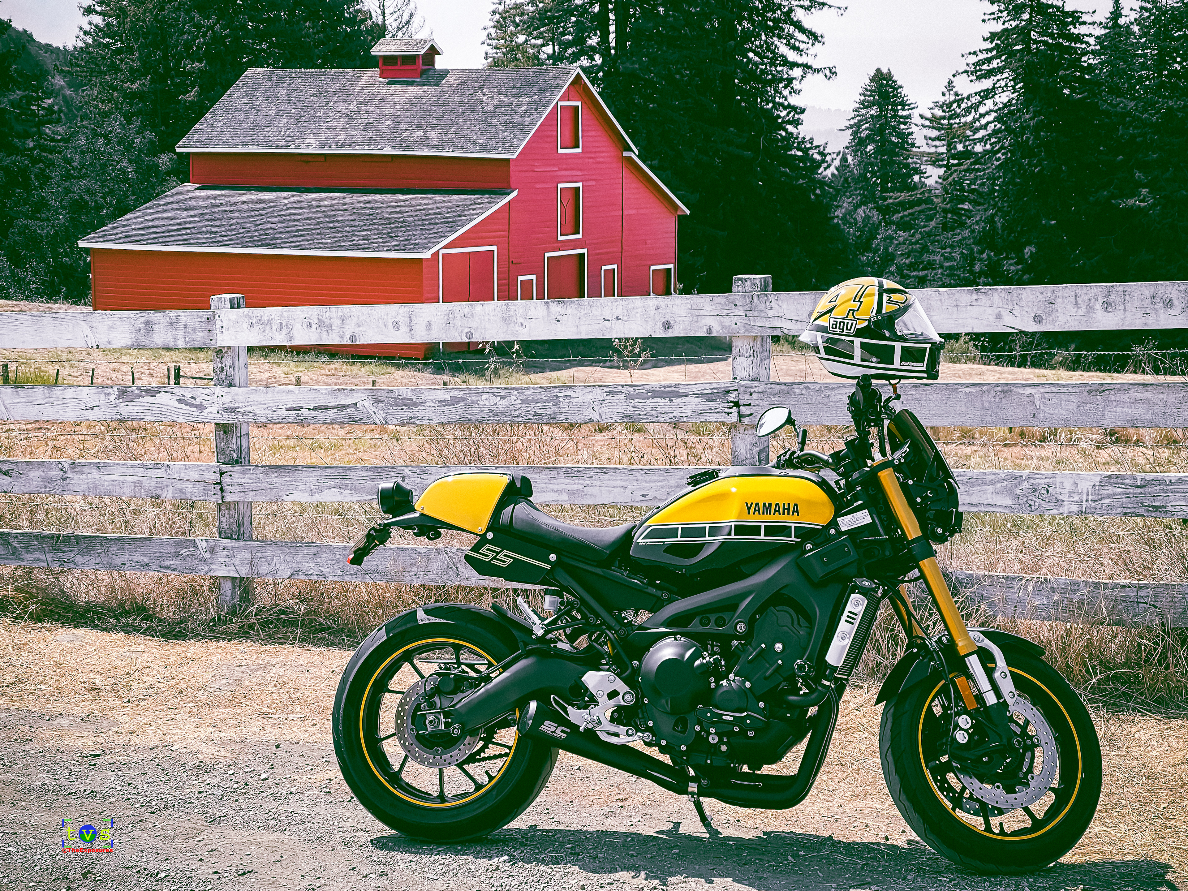 Ride and Shoot #6