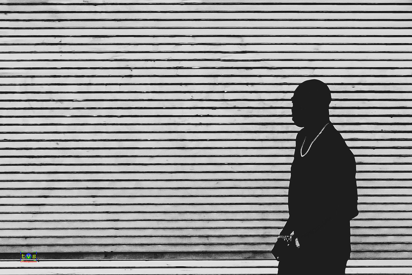 Silhouette #1