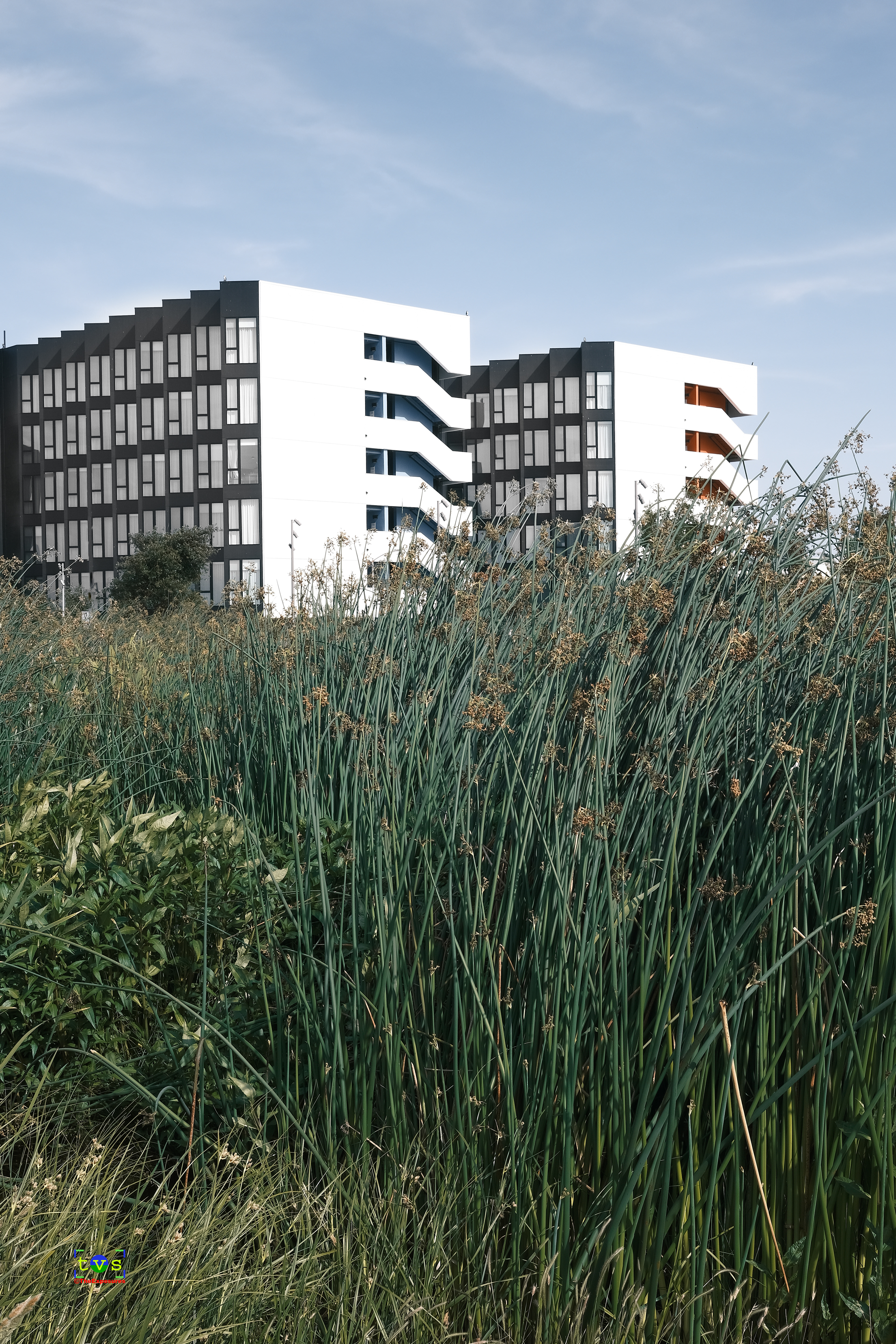 Seeing Between Lines #2