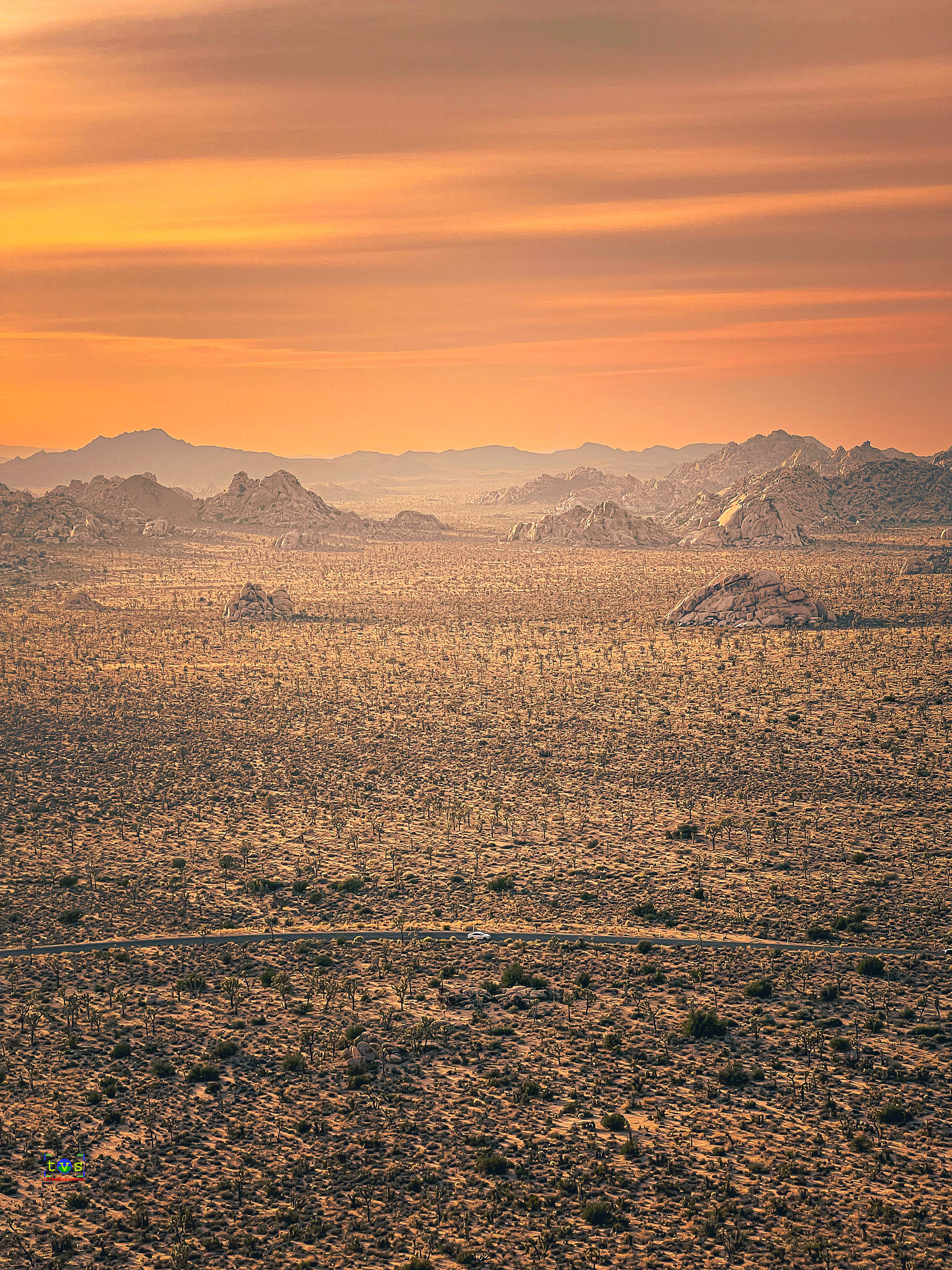 Vastness