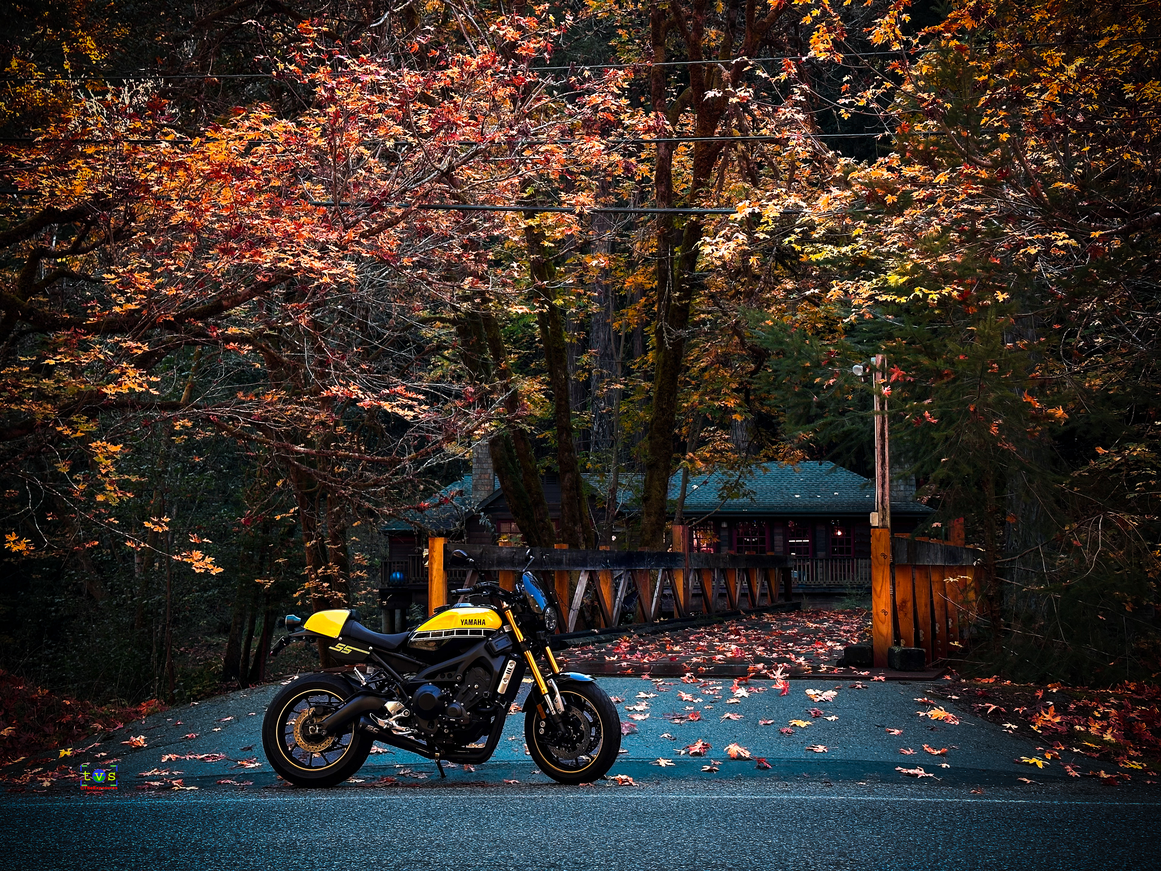 Ride n Shoot - Fall Life