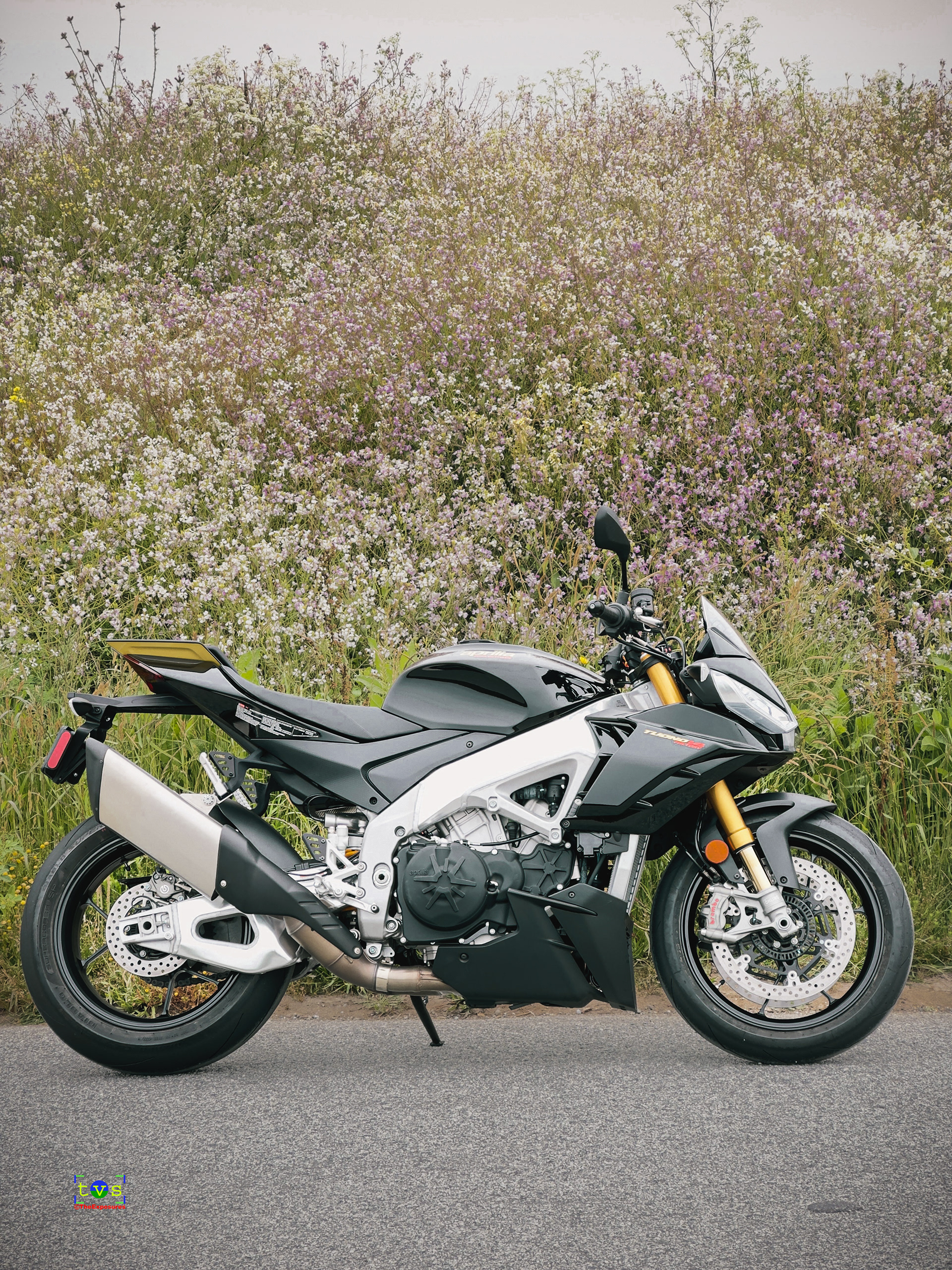 Ride n Shoot - Spring Time