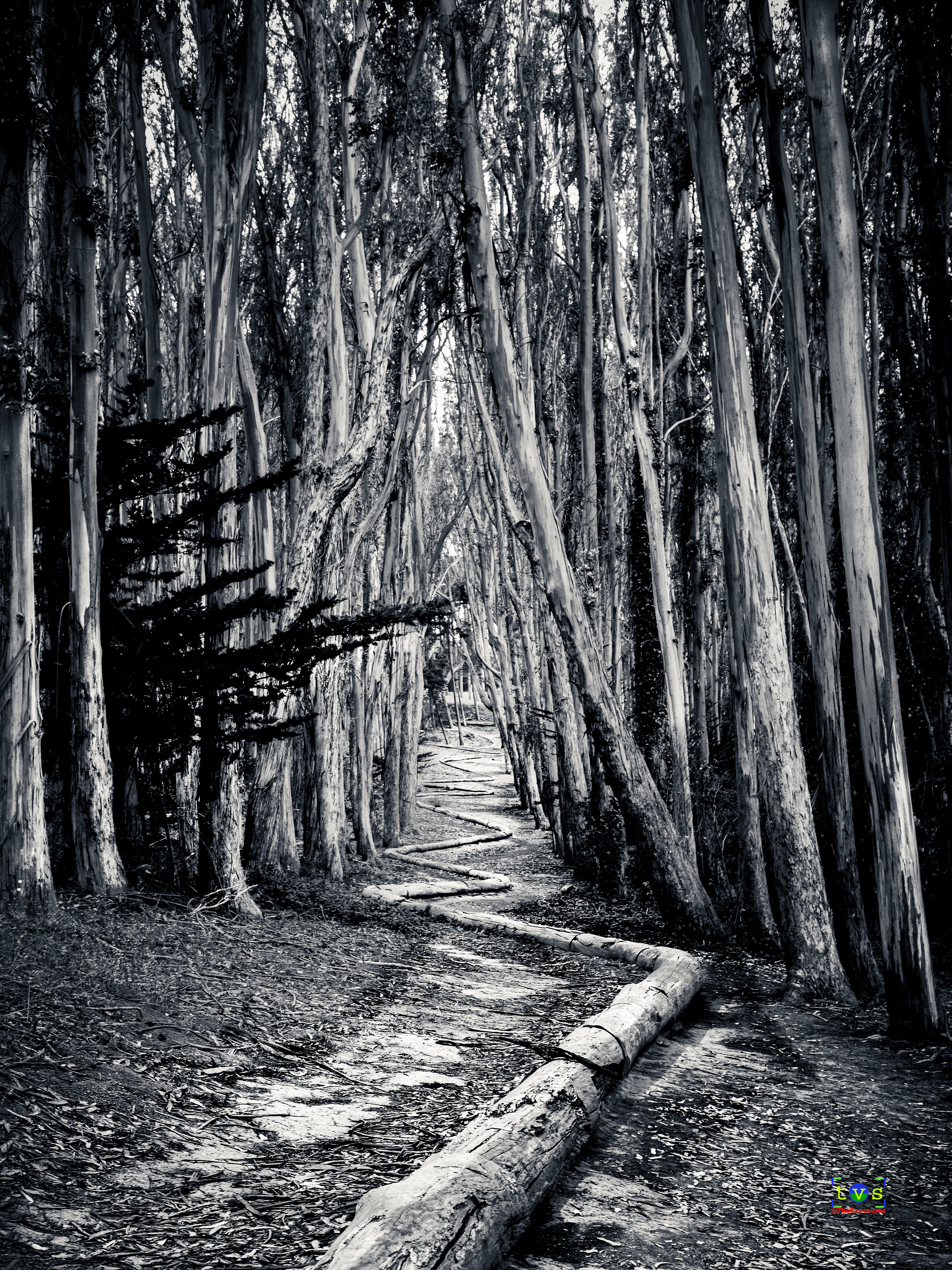 Lets Walk Through