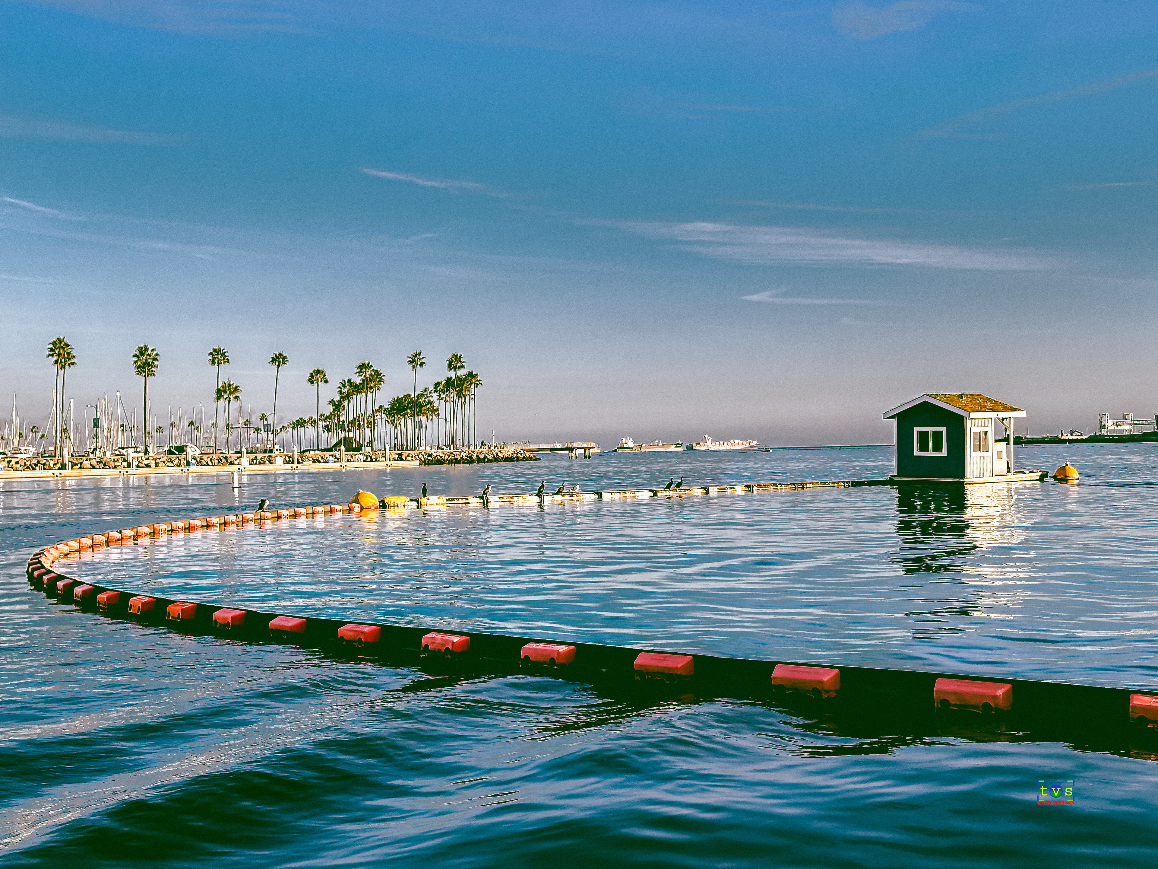 Shoreline - Long Beach