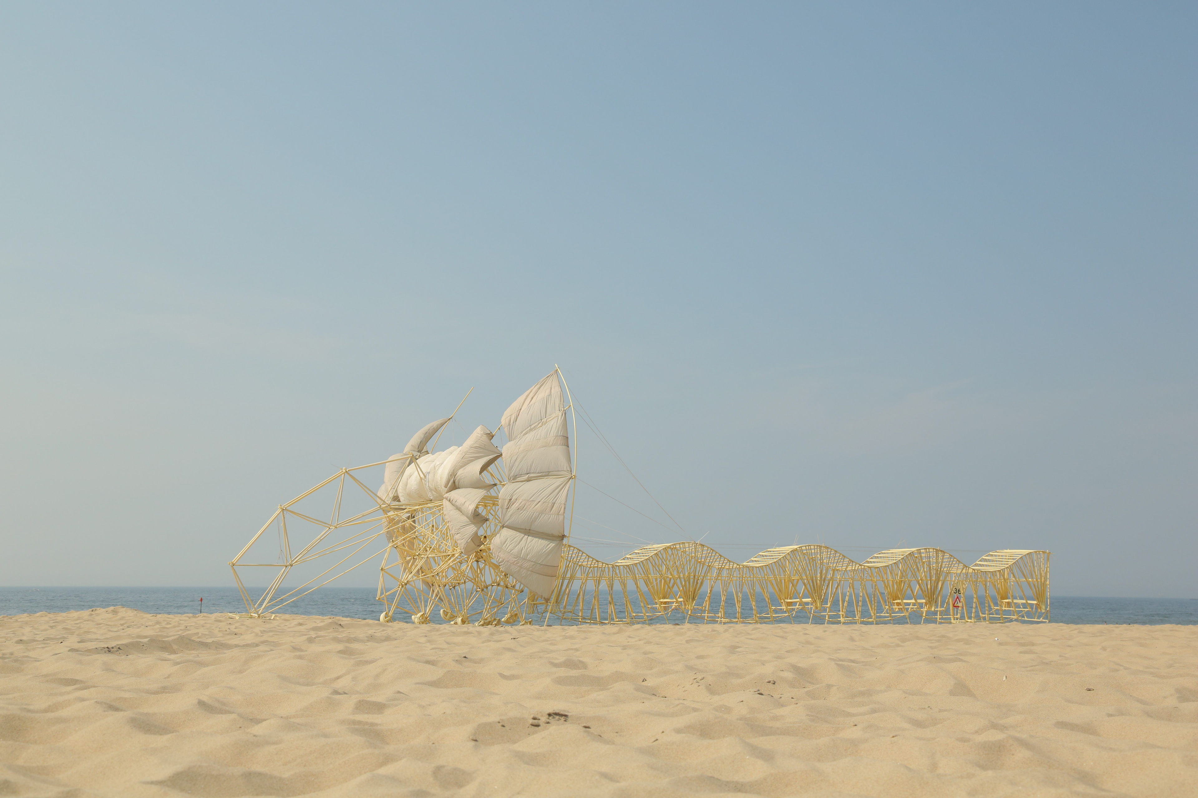 Mullus beast by Theo Jansen