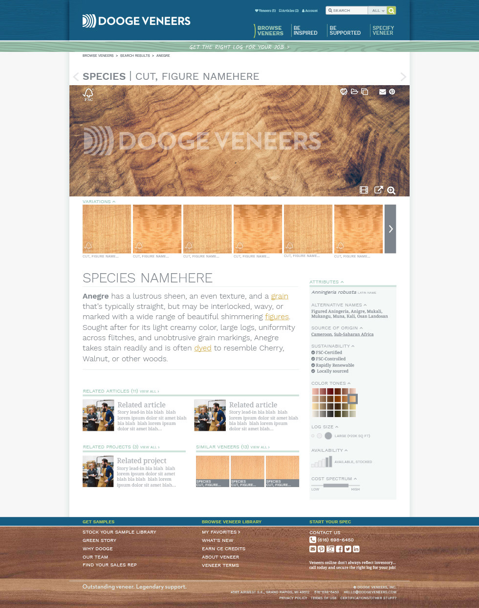 CREATIVE DIRECTION: WEB