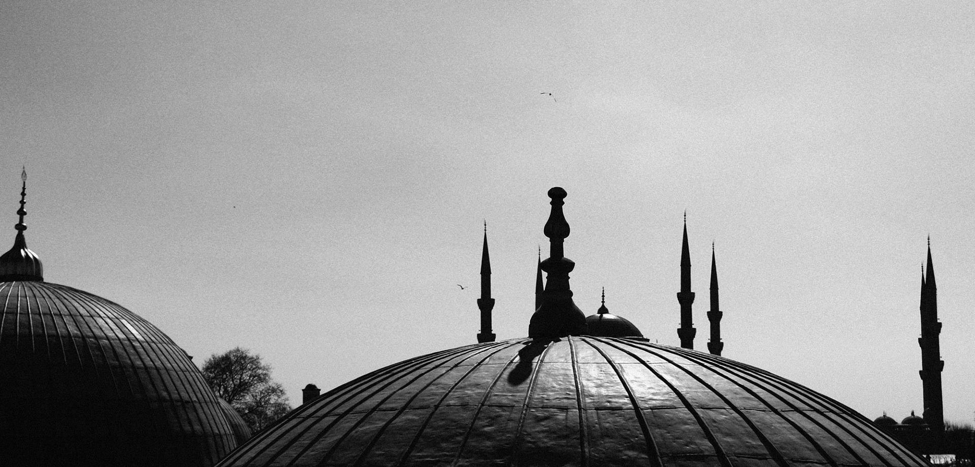 Minarets - Isranbul, Turkey © Fotis Providas
