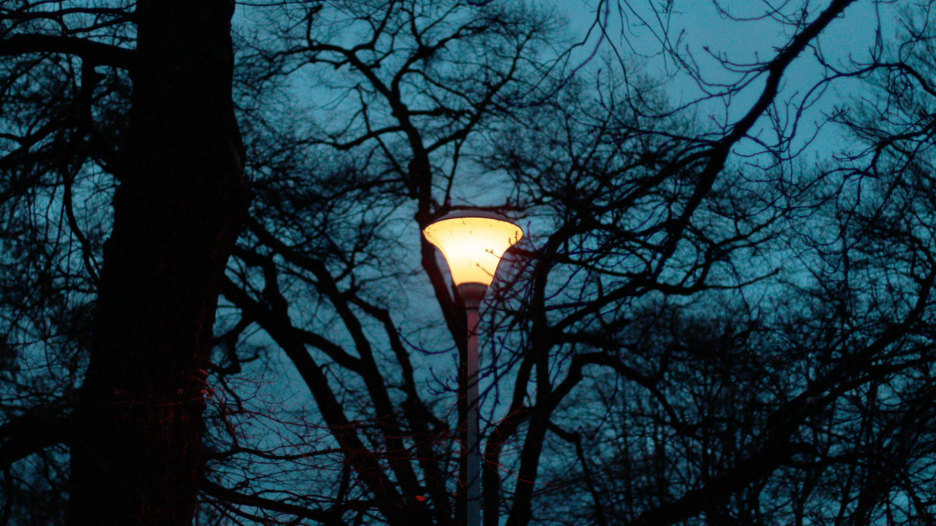 Park Cihelna at dusk - Prague, Chech Republic © Fotis Providas