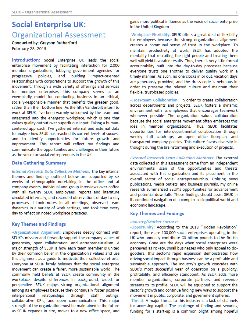 Organizational analysis I conducted to improve SEUK processes