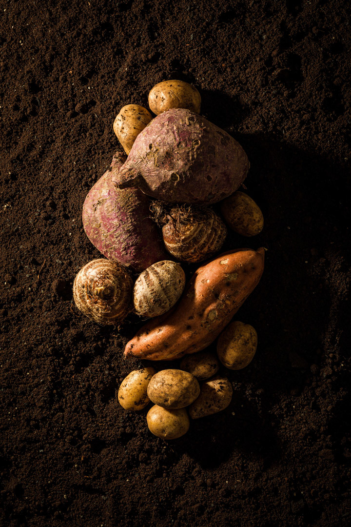 Cliente: Chácara Maria Emília Orgânicos