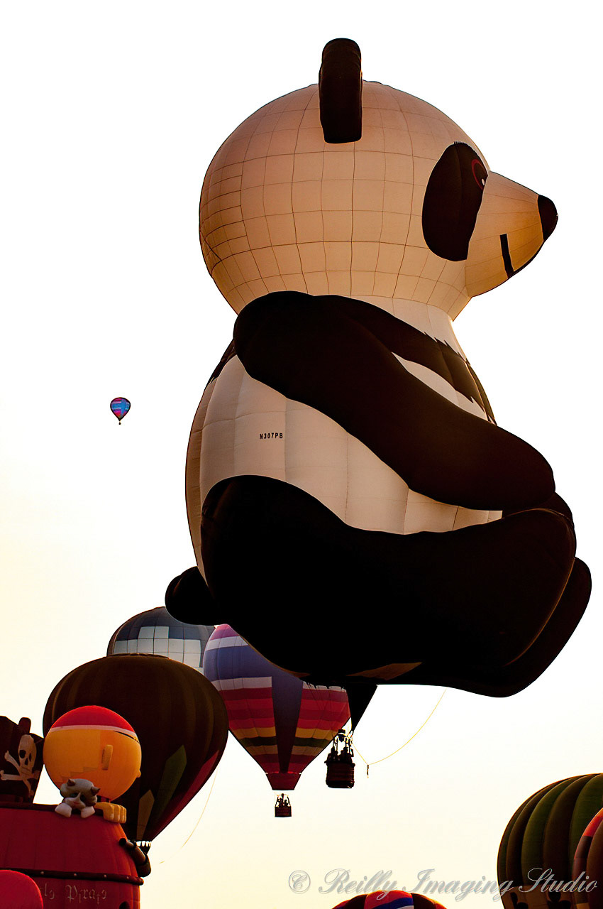 QuickChek BalloonFest 2009