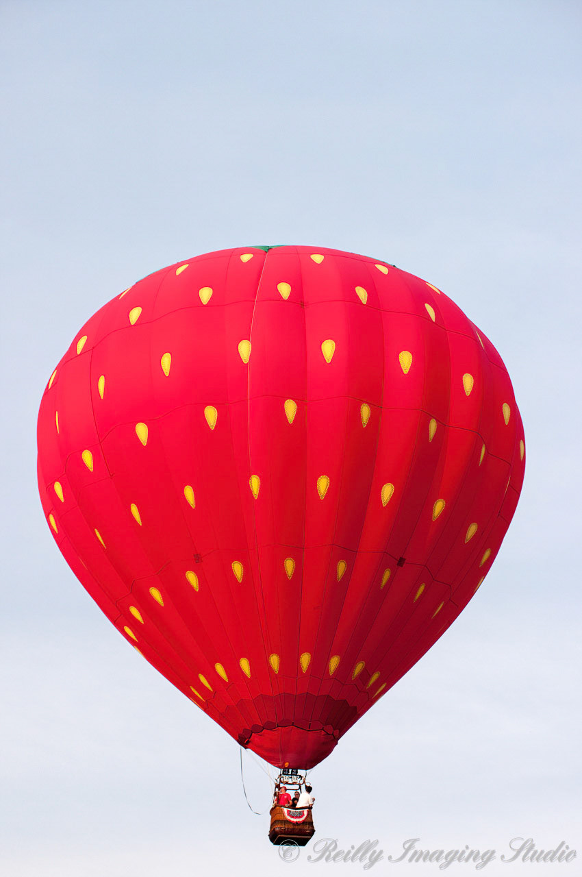 QuickChek BalloonFest 2009