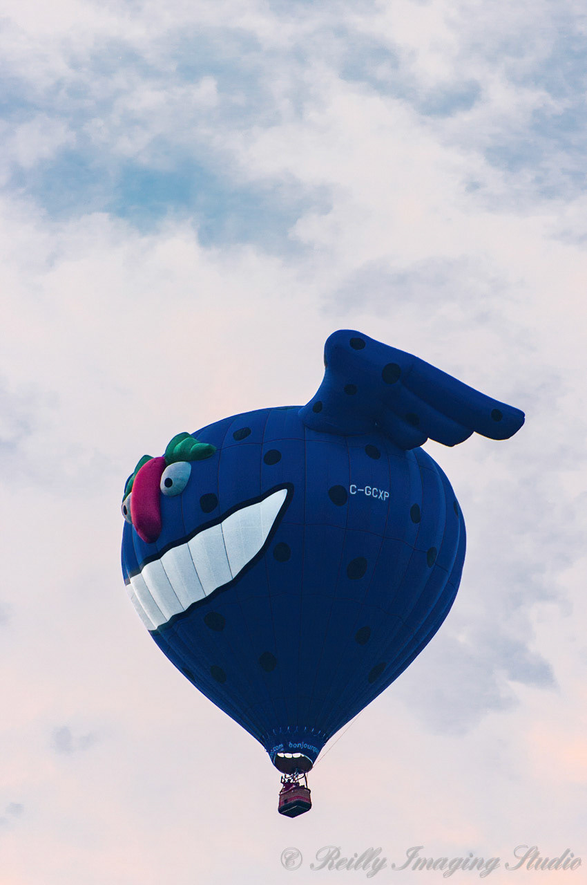 QuickChek BalloonFest 2009