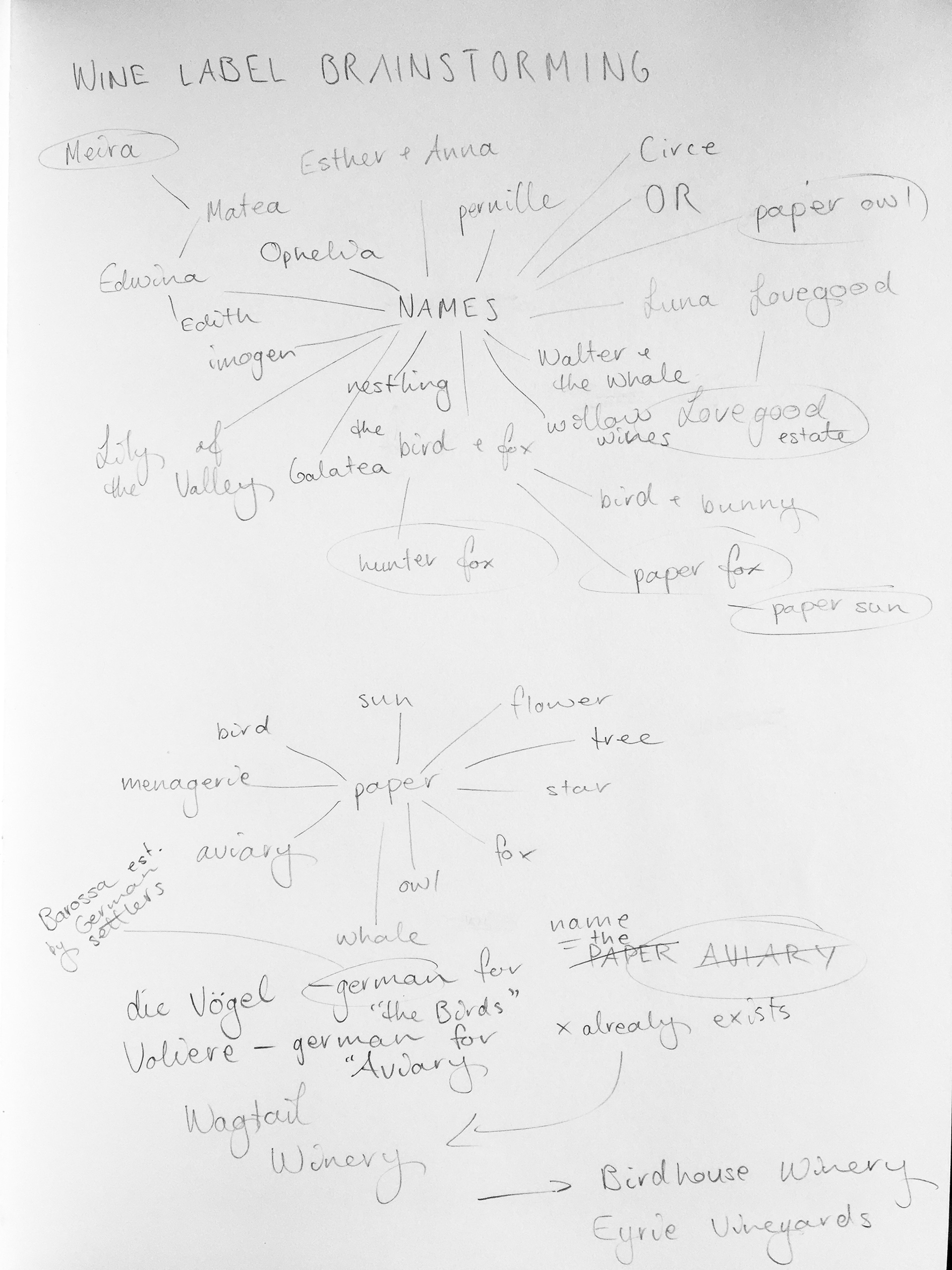 mind mapping names
