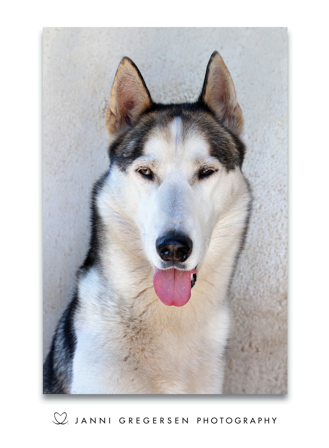 Janni Gregersen Photography