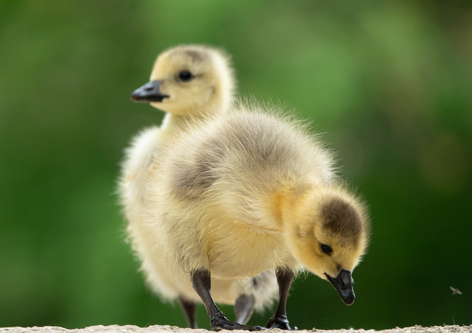 A la découverte du monde