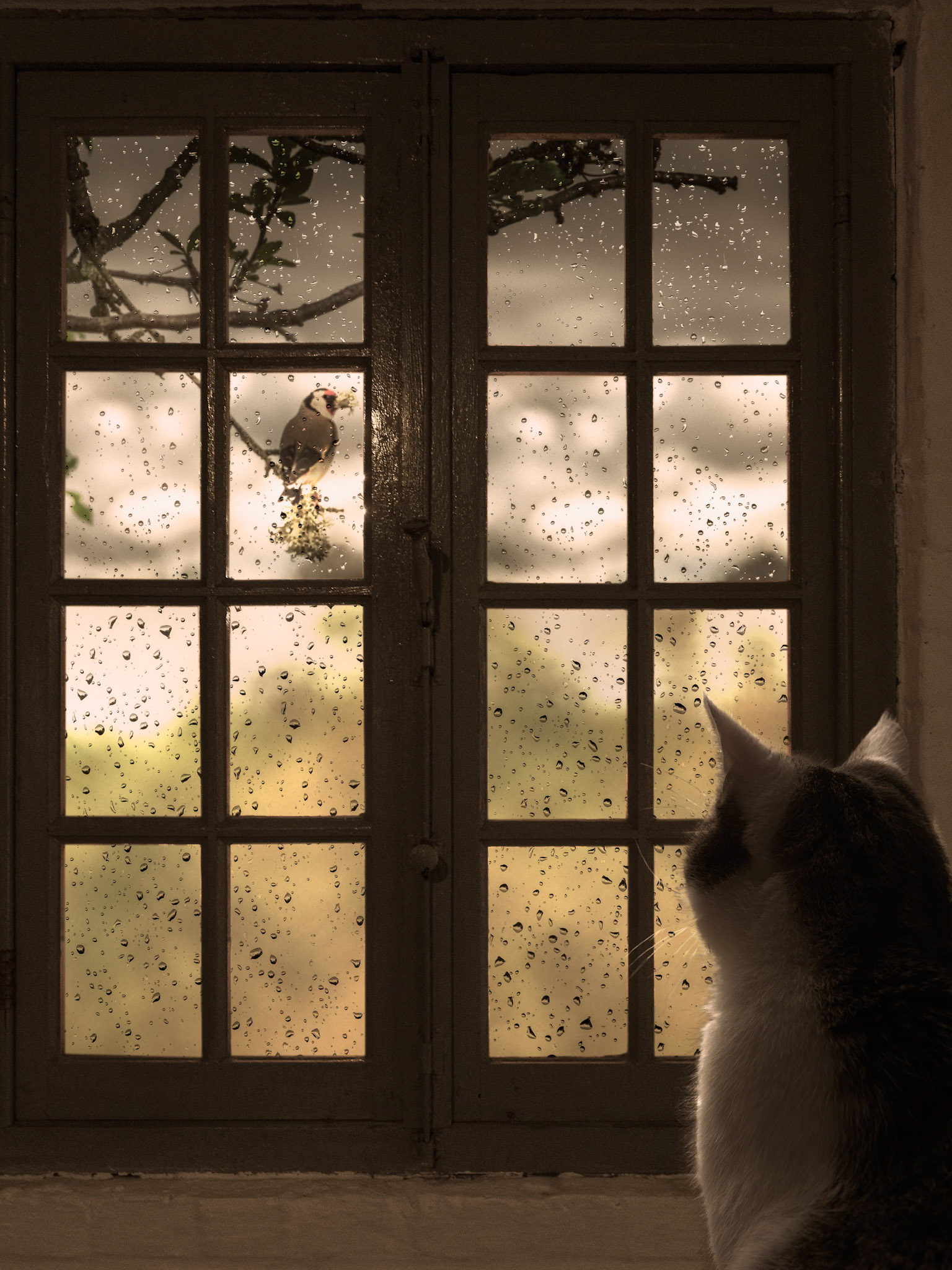 Jour de pluie