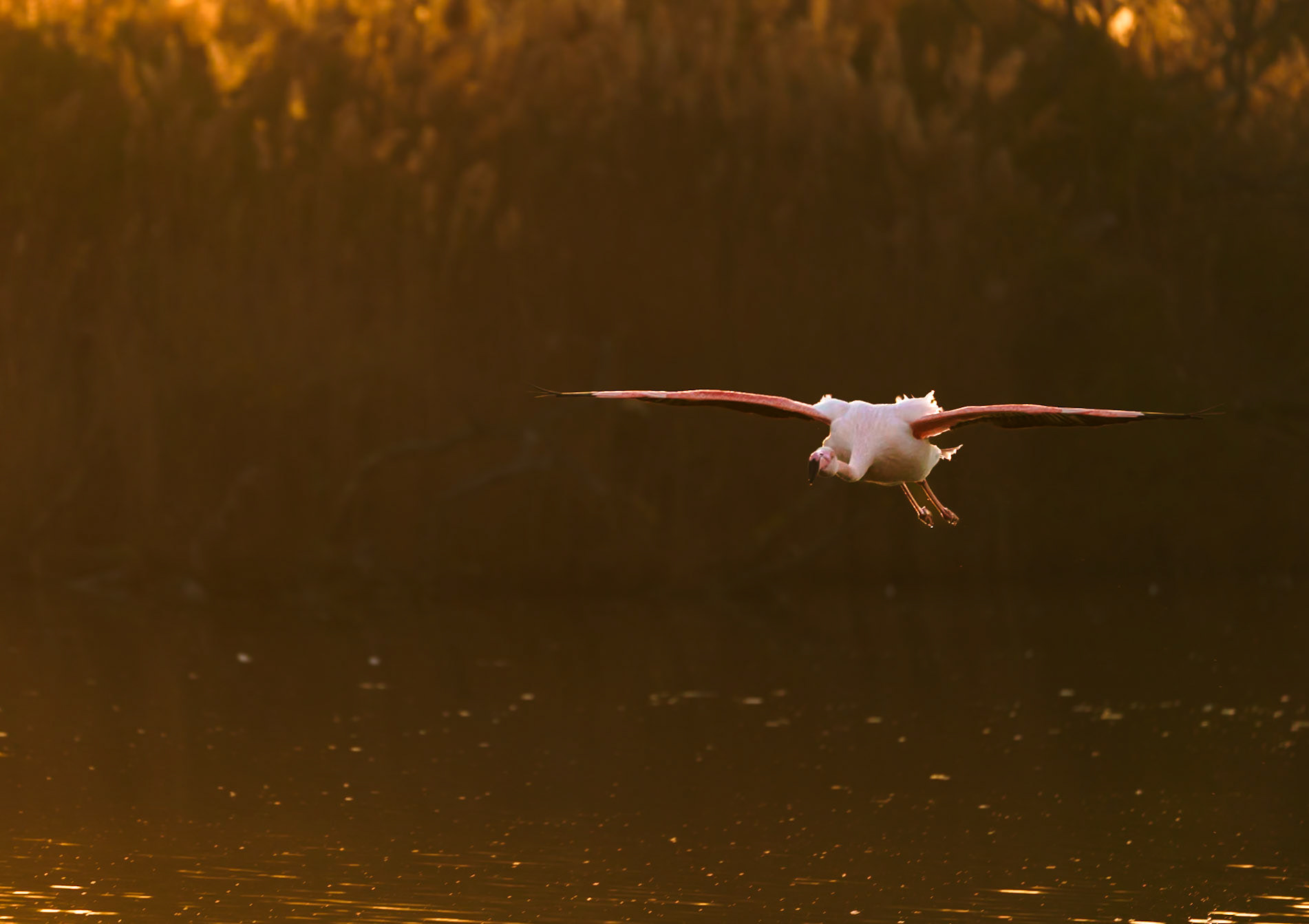 Attention à l'atterrissage