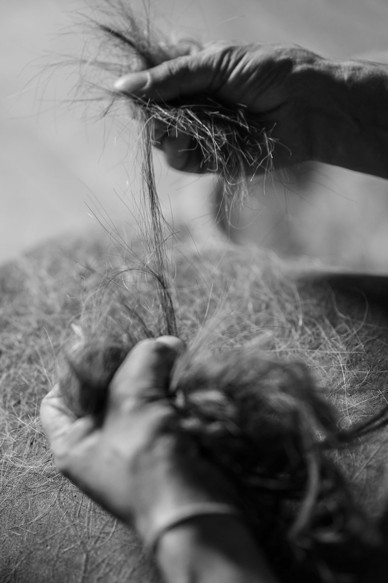 In structure, goat fur resembles human hair