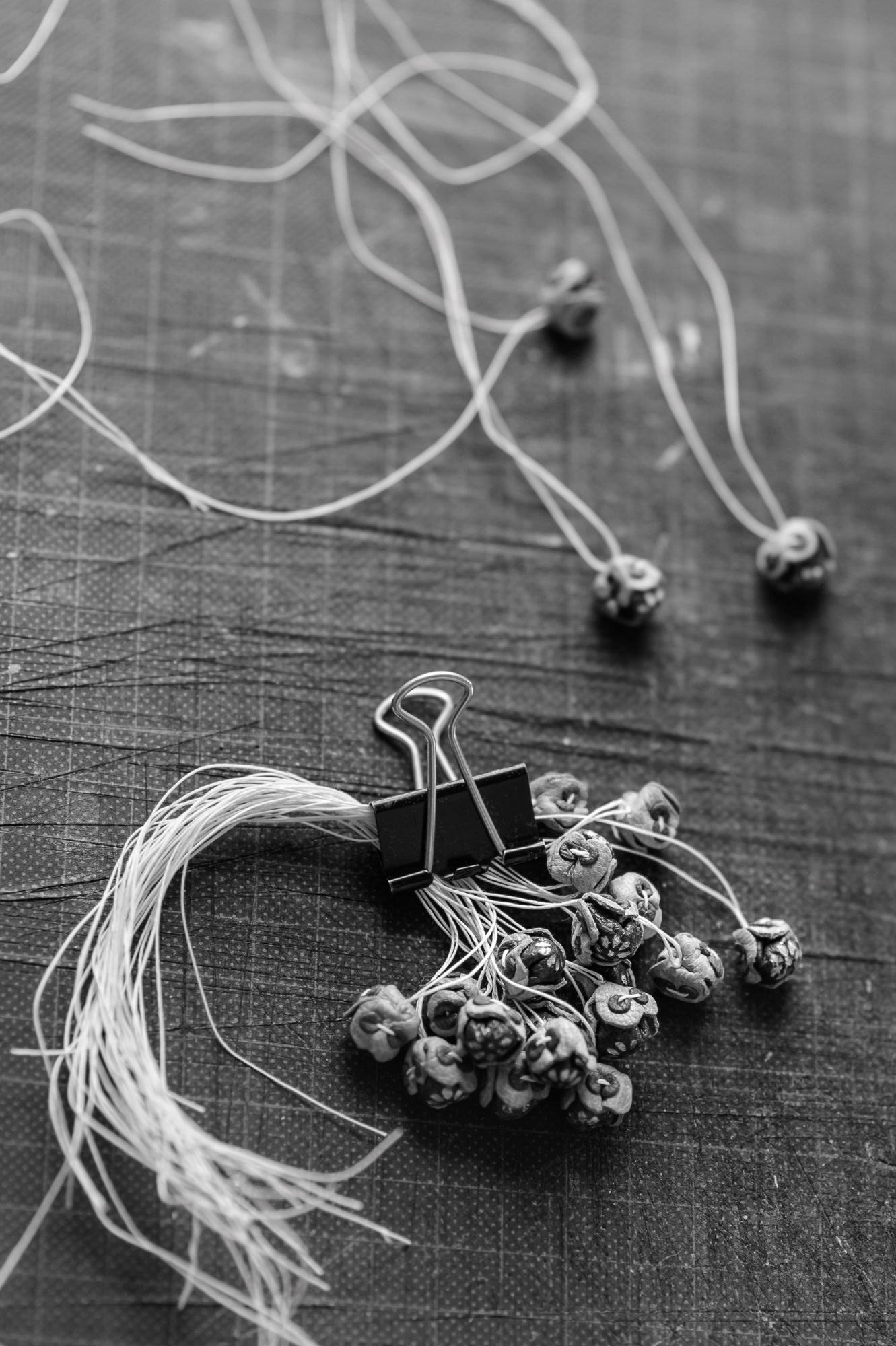 A total of 23 leather flowers are intended for the upper covers of a current project, 12 on the spines and another 12 on the end bands.