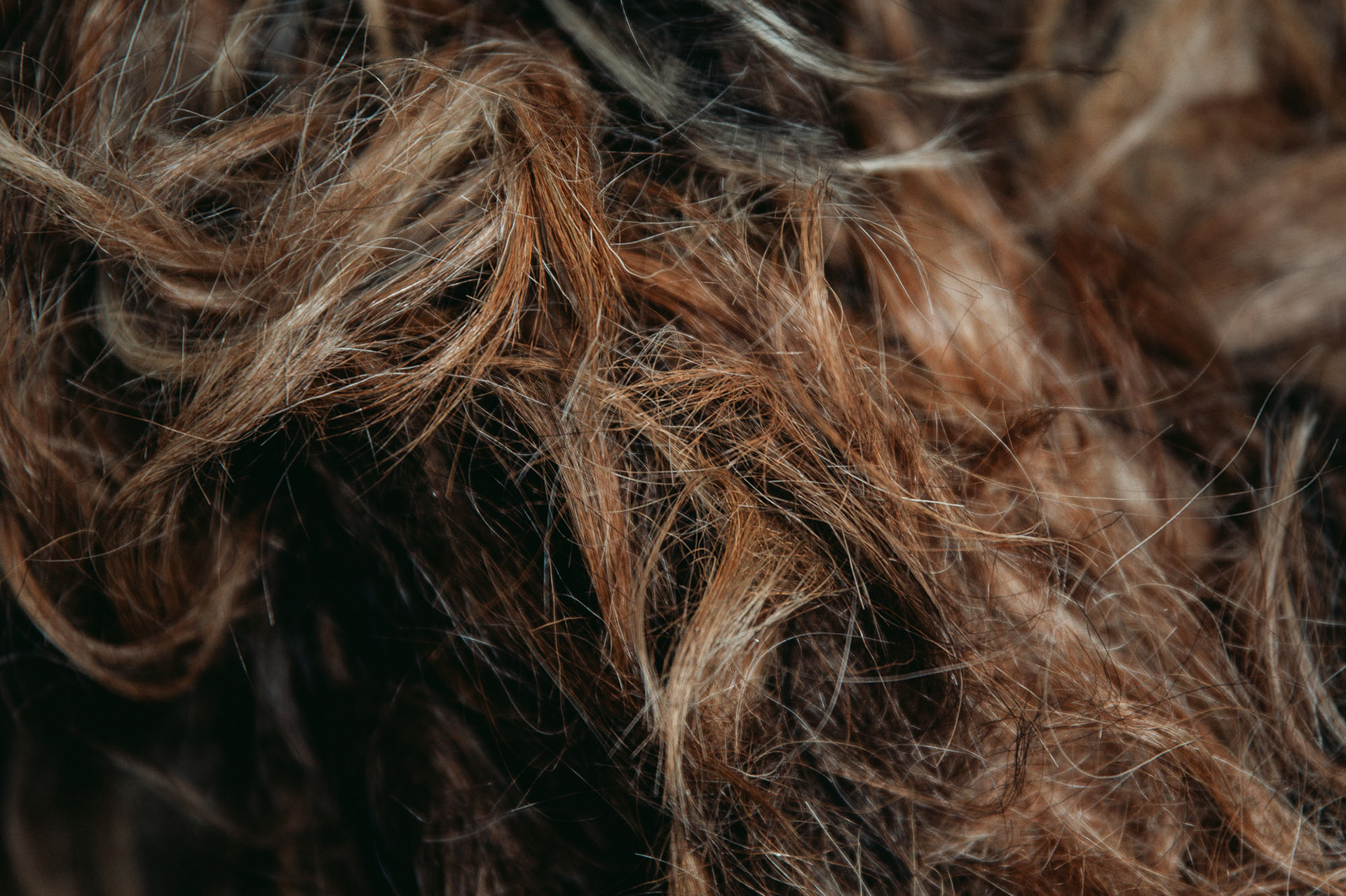 The raw material – sheared goat's hair, arrives at the master’s workshop in hard and matted state