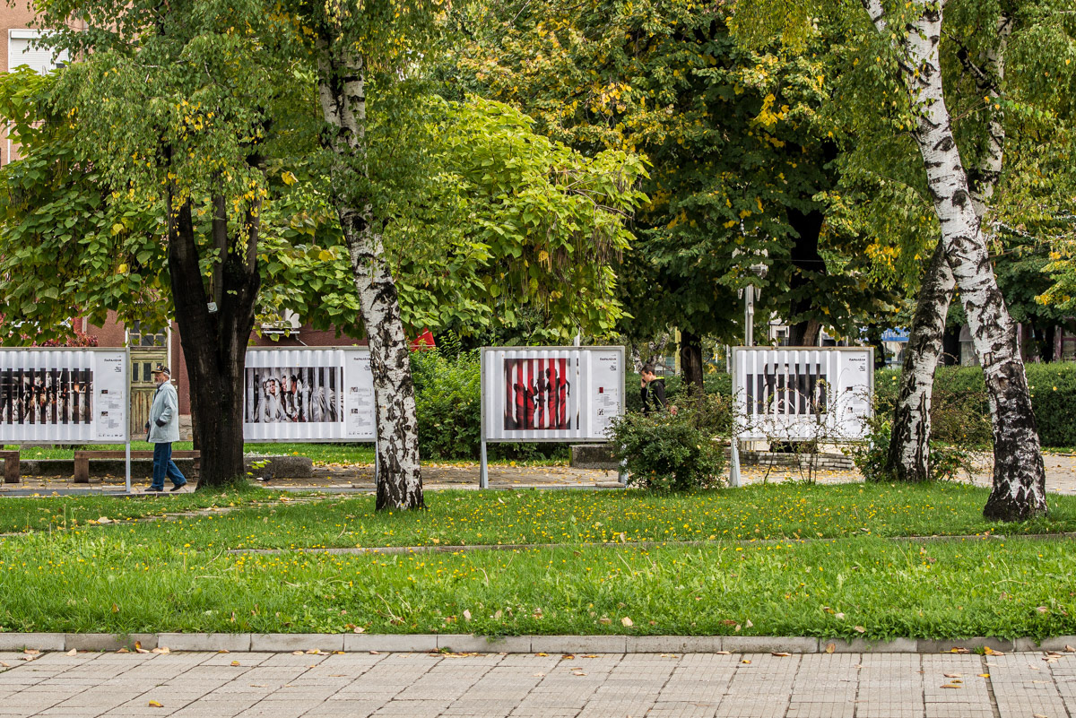 View of the Parallels photo installation