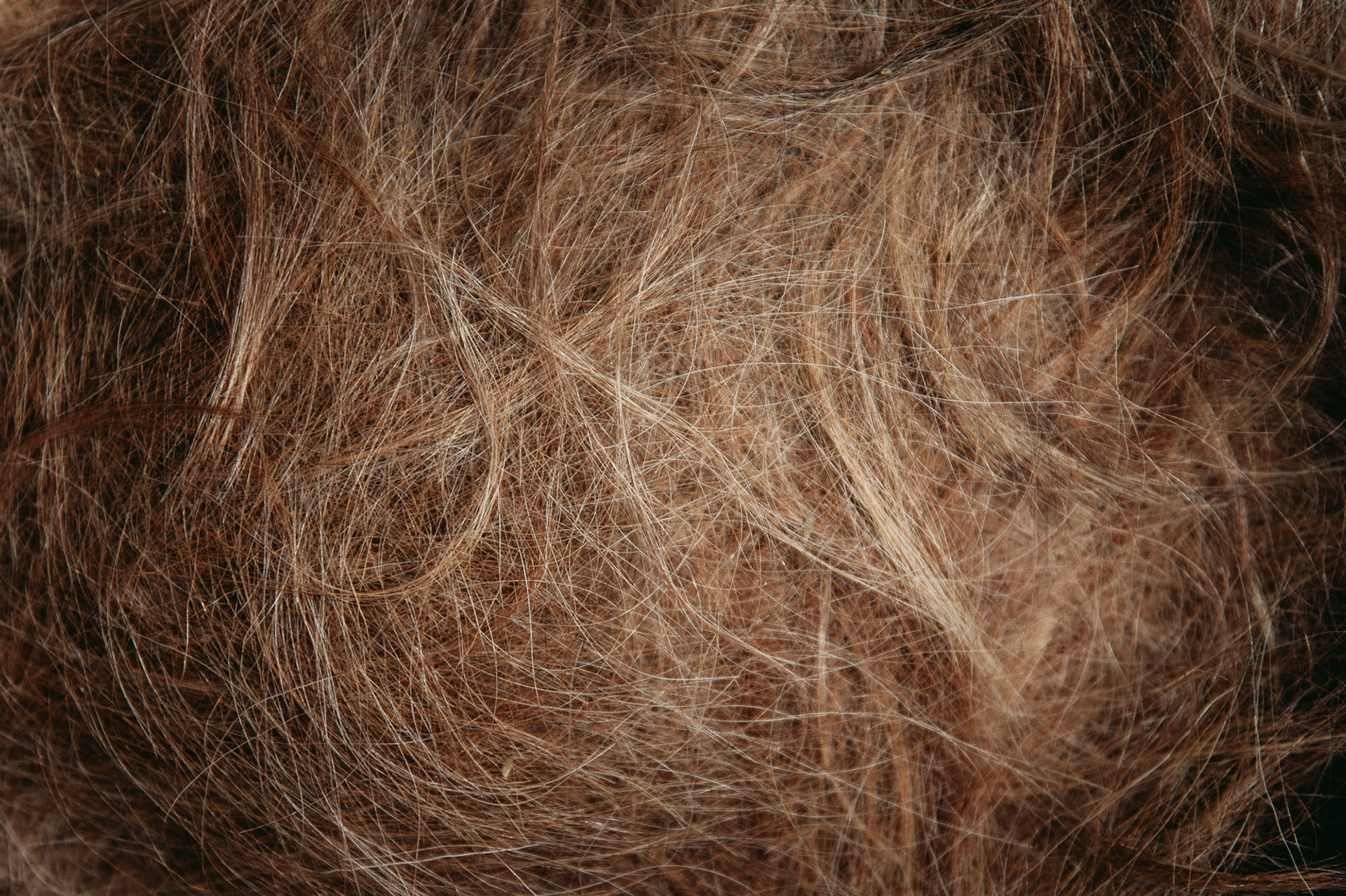 Cleaned, detangled goat hair