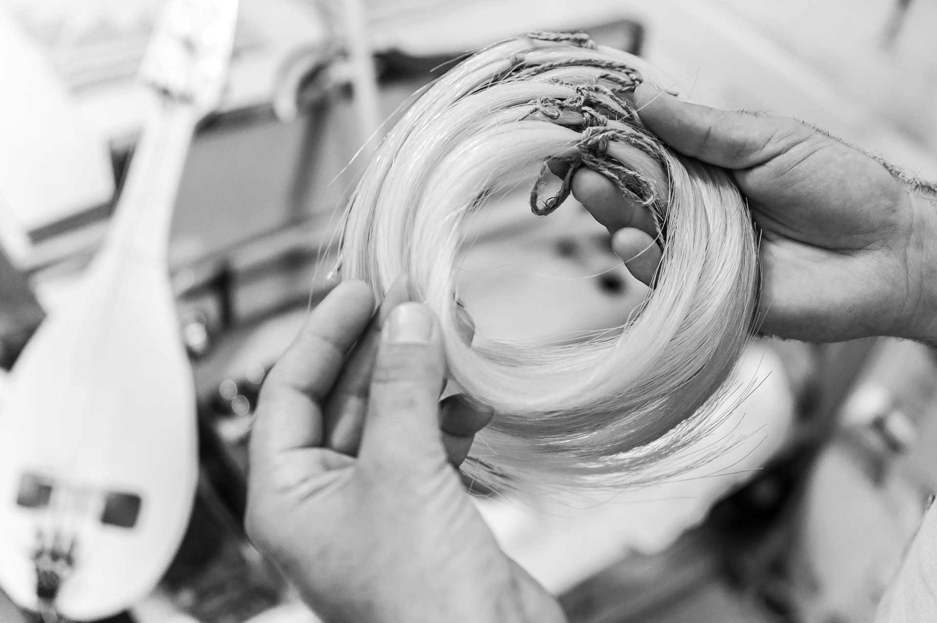 Horsehair used to make a bow for a stringed instrument
