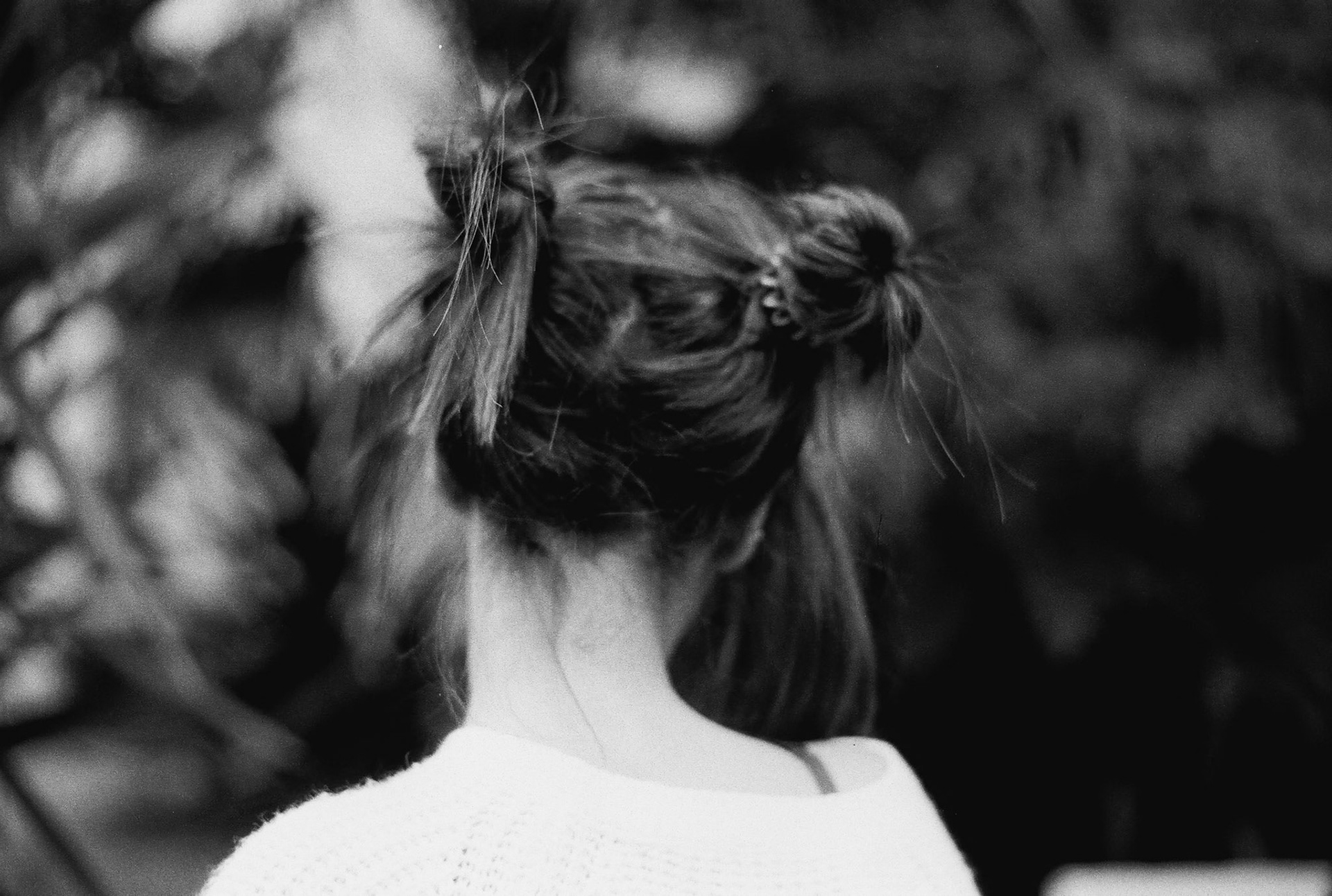 Ness, dans mon jardin, le 3 novembre 2022. 