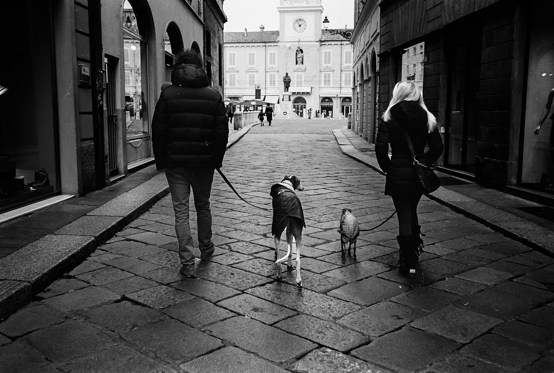 En Italie, vers Parma, en hiver 2013. 