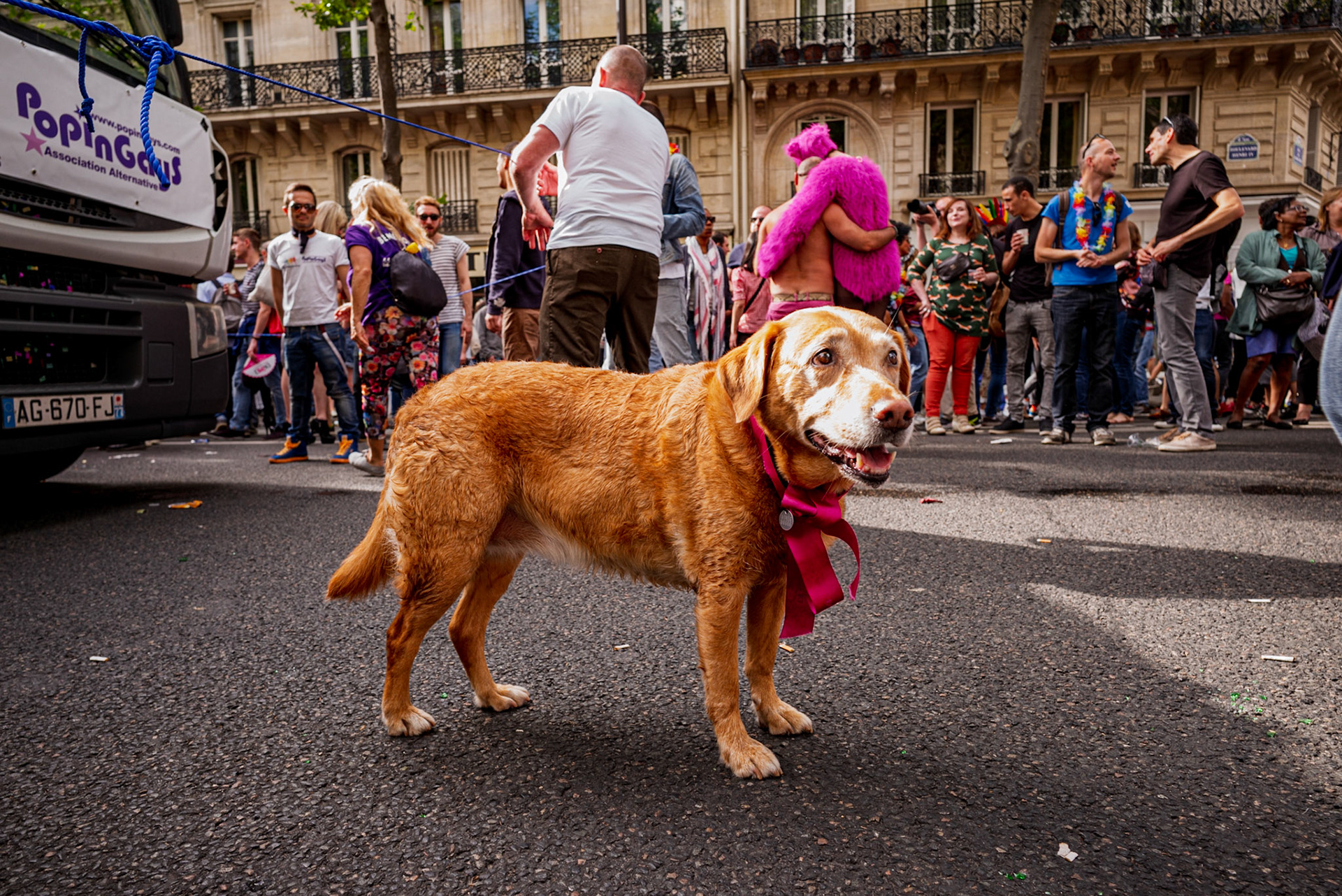 La Gay Pride (marche des fiertés) de 2016, à Paris.