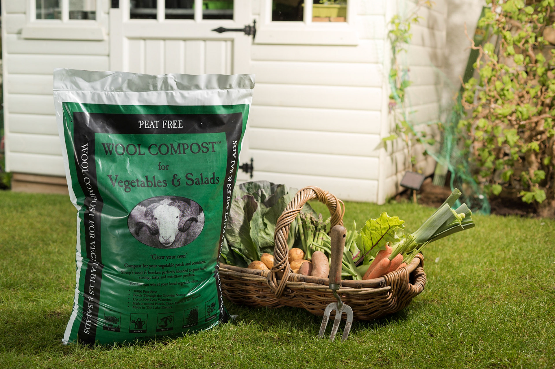 Clear, bright, and inviting – product photography that encourages customers to click ‘buy.’