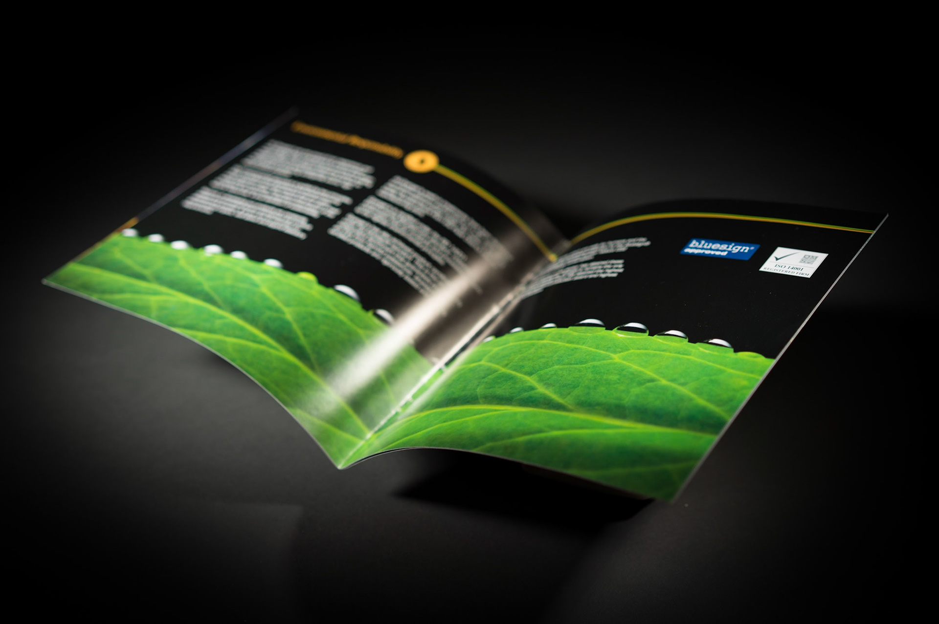 Perfectly lit product photography that brings out the best in every item.