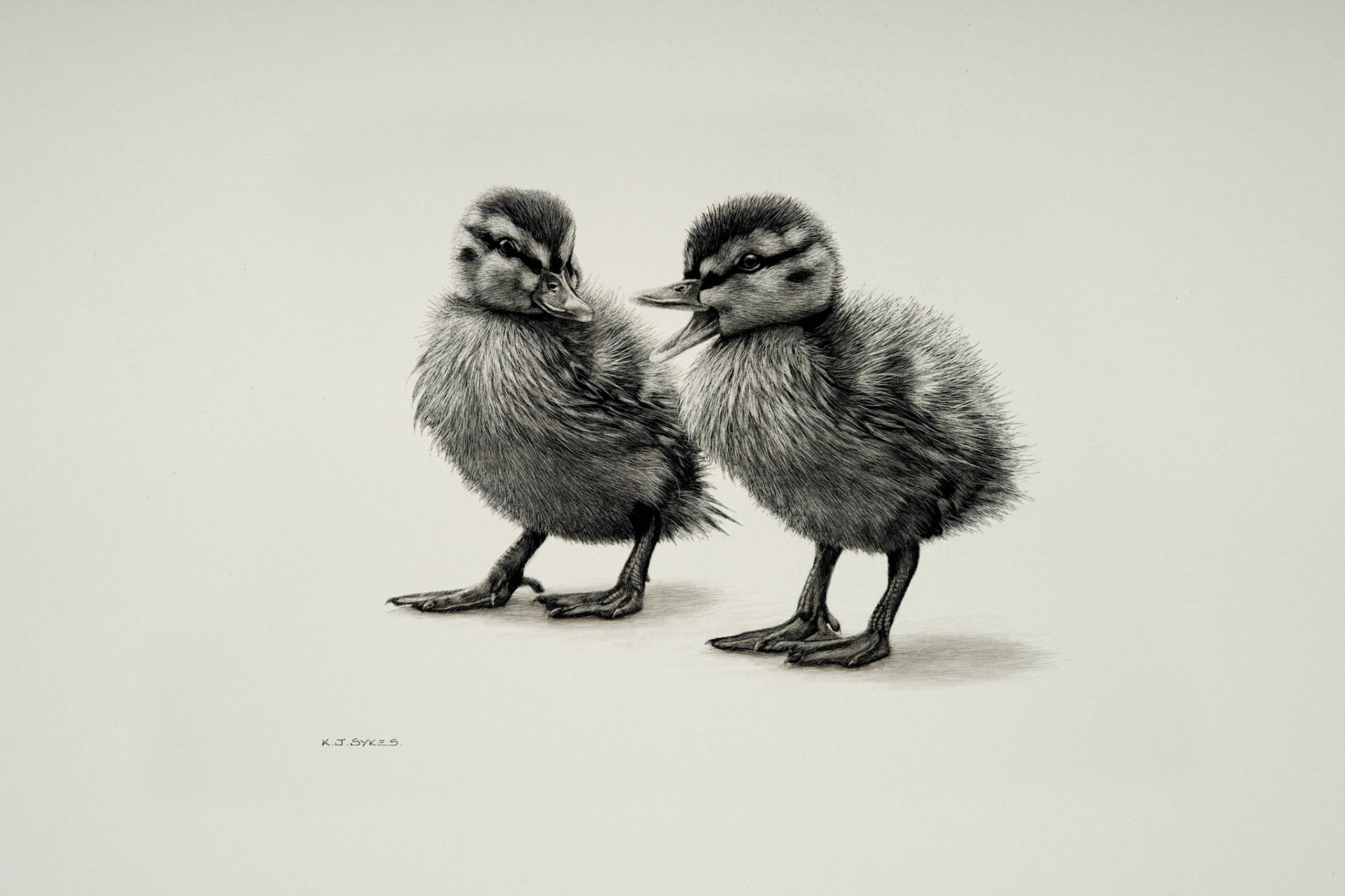 Artist Copy Photography Services