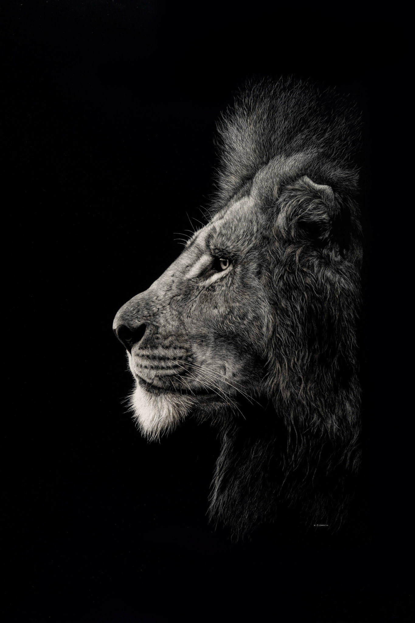 From canvas to digital, our photographic copywork ensures every detail is faithfully captured.