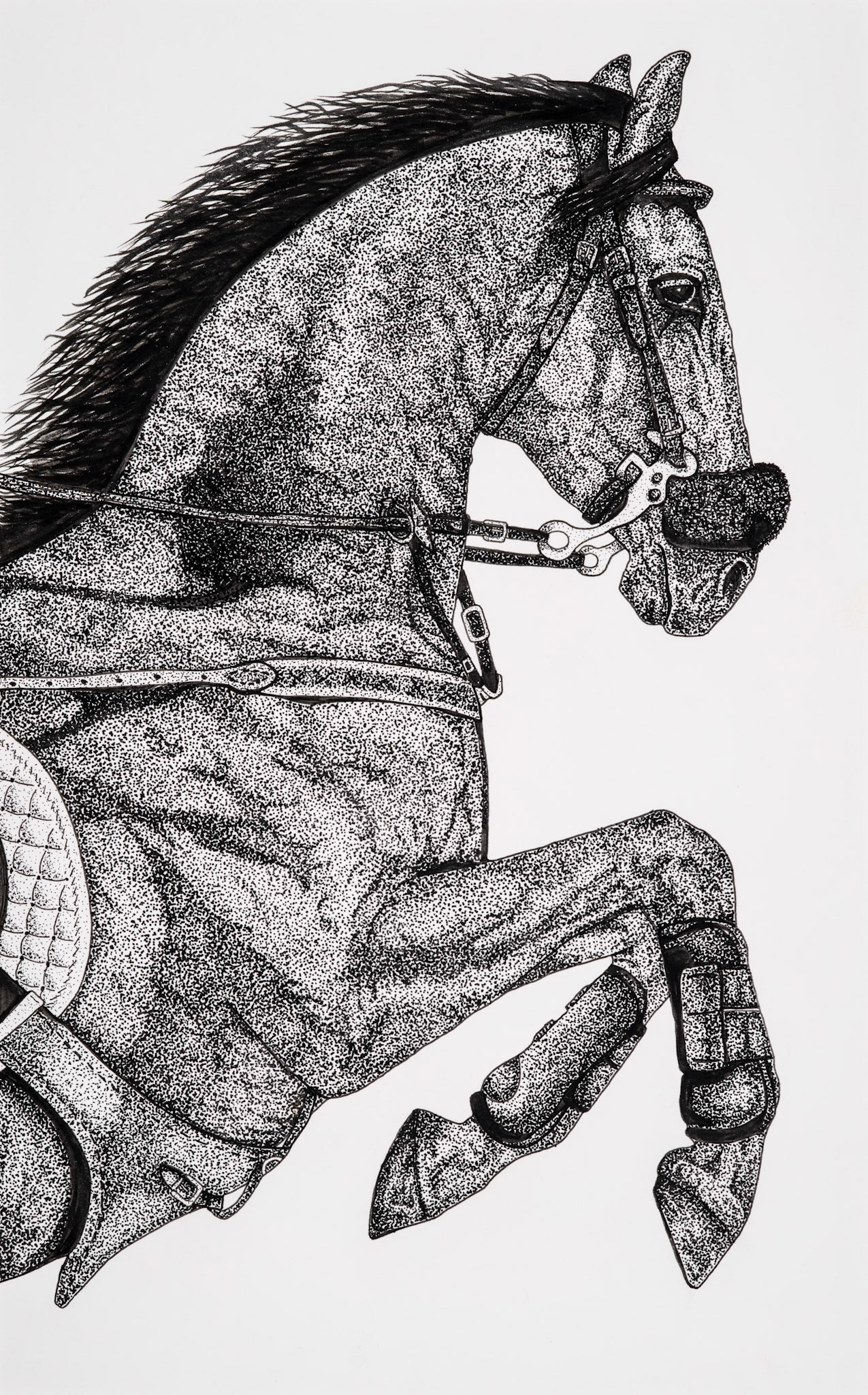 Gallery-Ready Art Reproductions