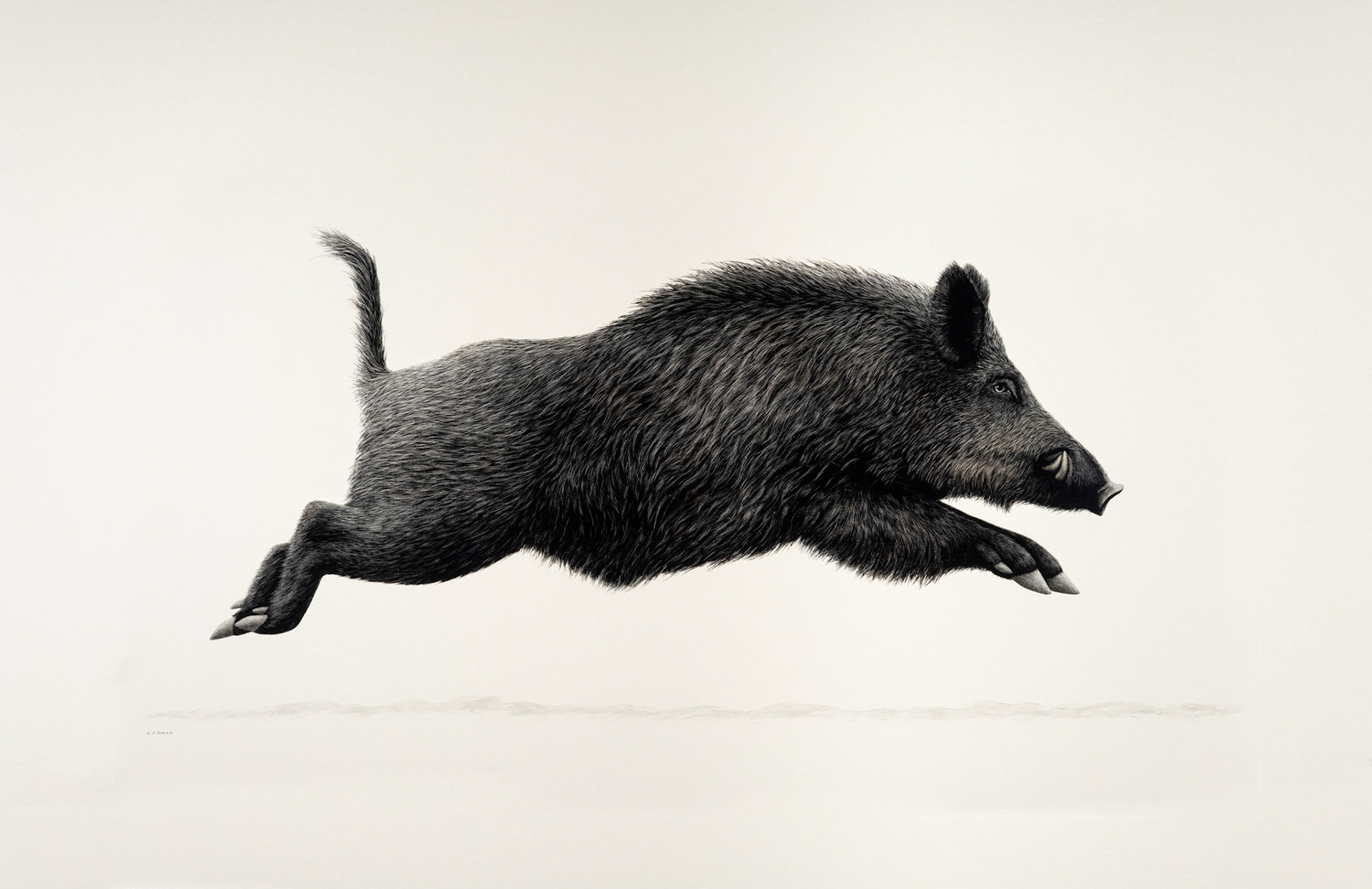 Accurate, high-quality reproductions for artists looking to showcase their work in prints or portfolios.