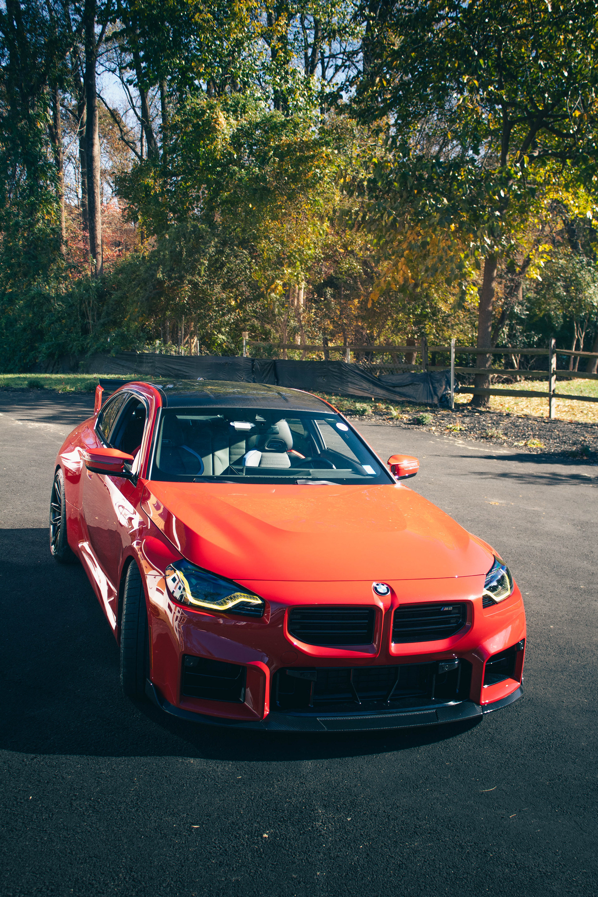 @belicose.dynamics