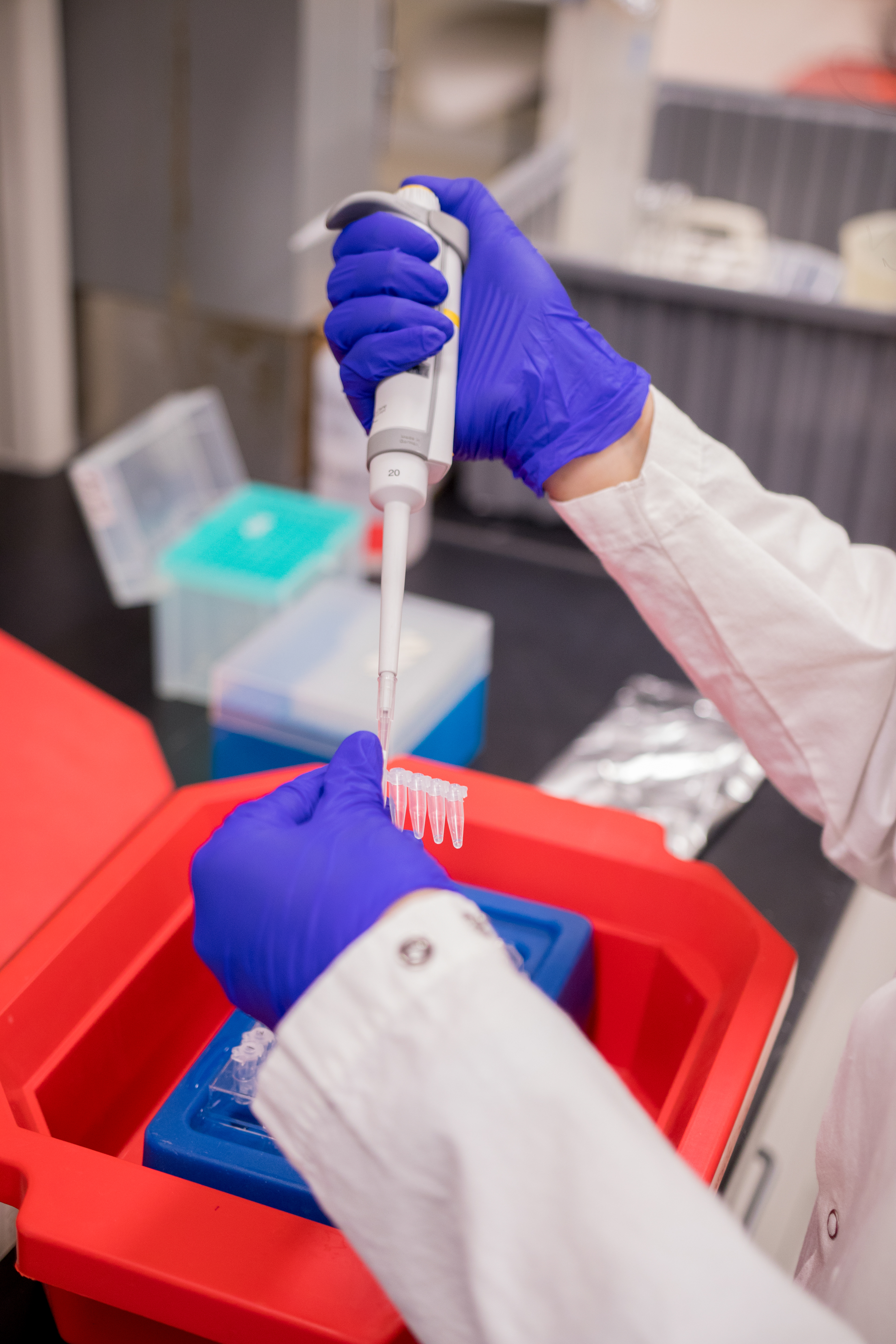 Grand Challenge Scholars Program - Karanjia Lab