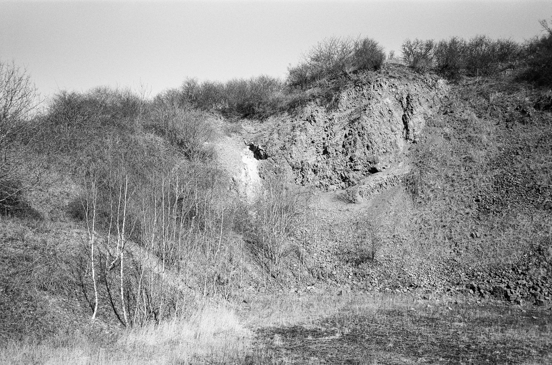 Ehemaliger Steinbruch mit neuer Vegetation