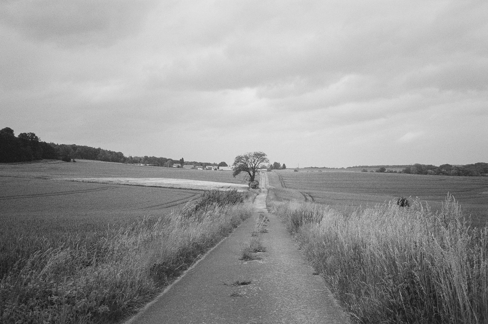 Felder zwischen einem schmalen Feldweg