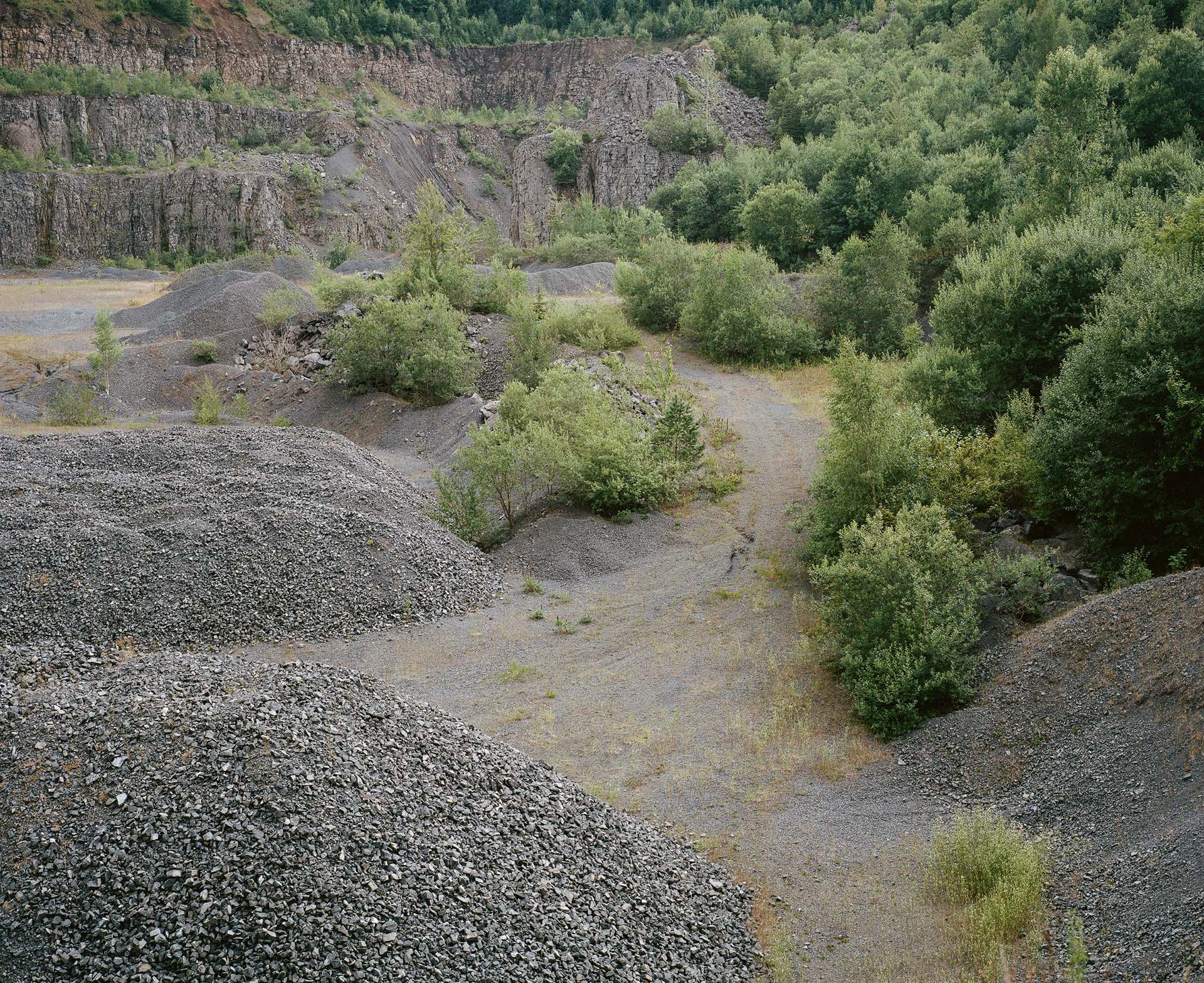 Neue Vegetation in Steinbruchlandschaft von Anna Bergold