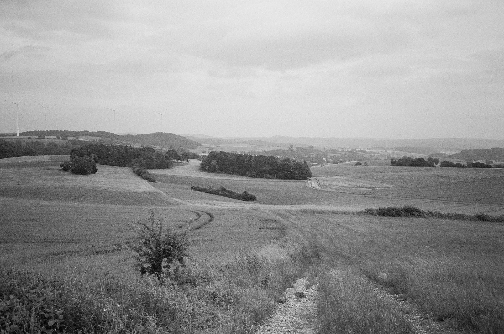 Leere Fläche für geplantes Solarfeld – fragmentarische Landschaftsdokumentation
