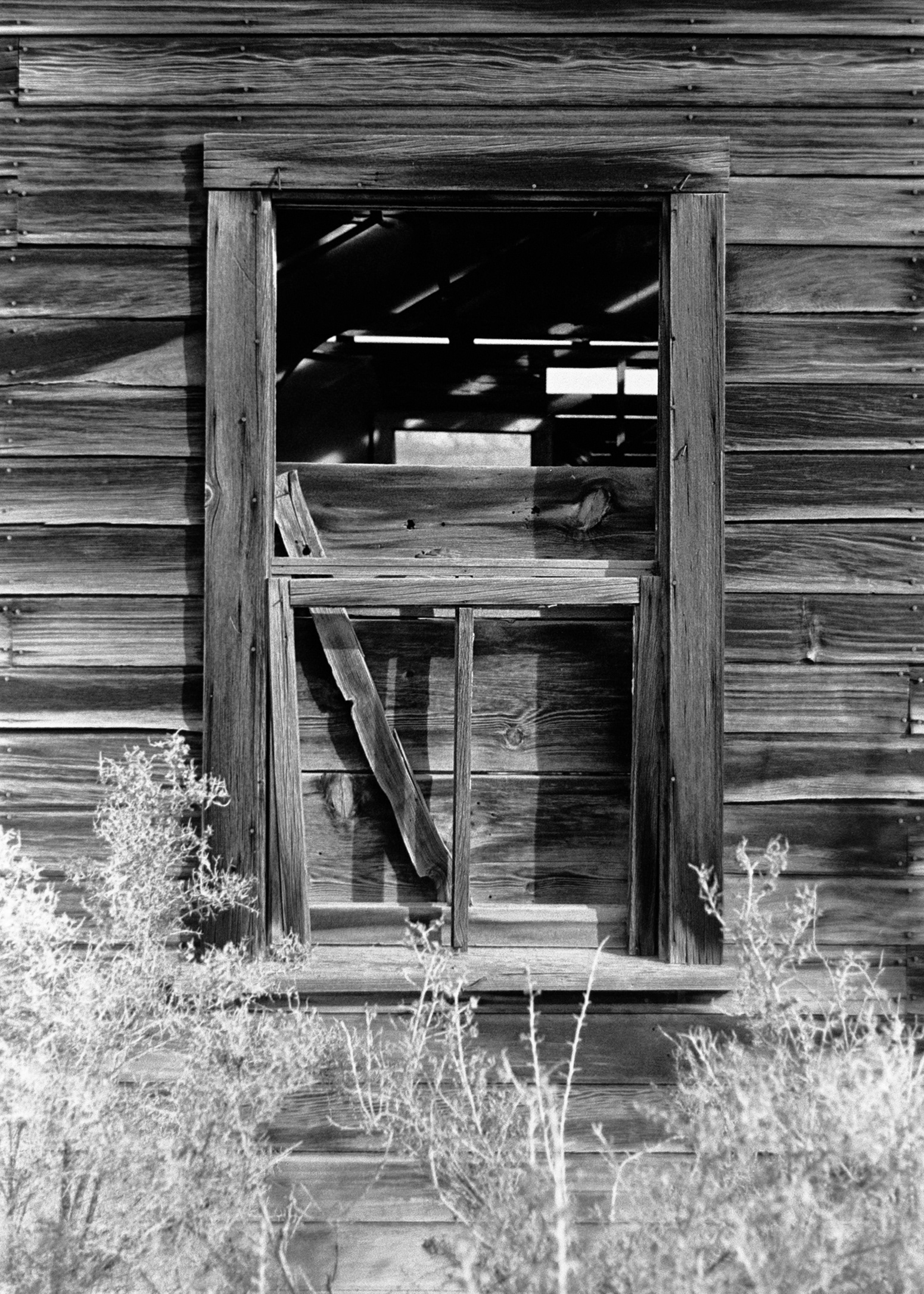 Moore Portal