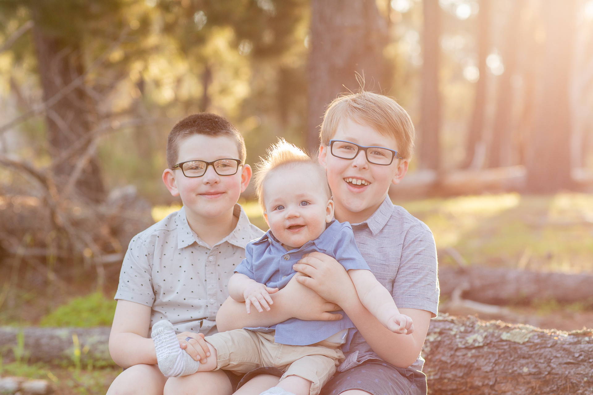 Portrait photo of three brothers. Background of pine trees during golden hour 