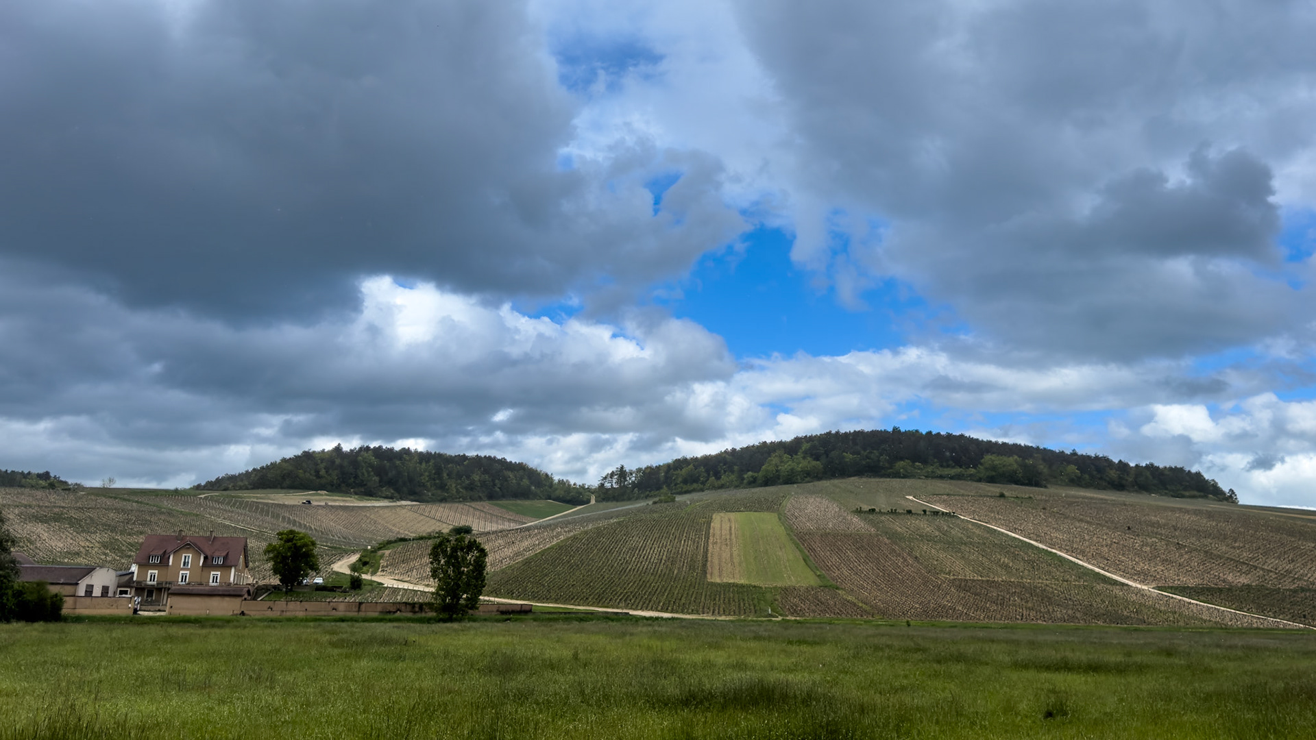 The Grande Cru vineyards of Chablis