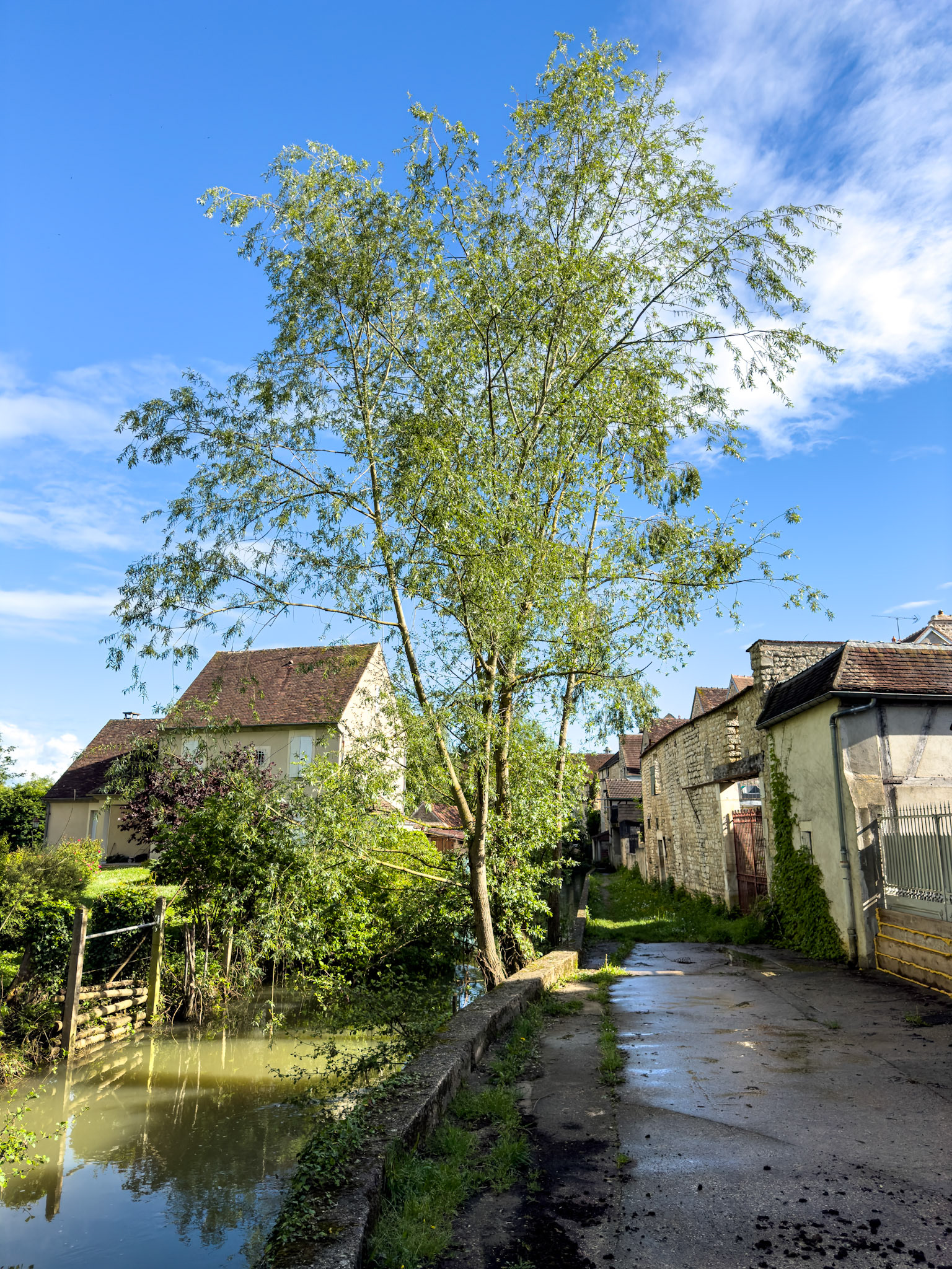 Chablis